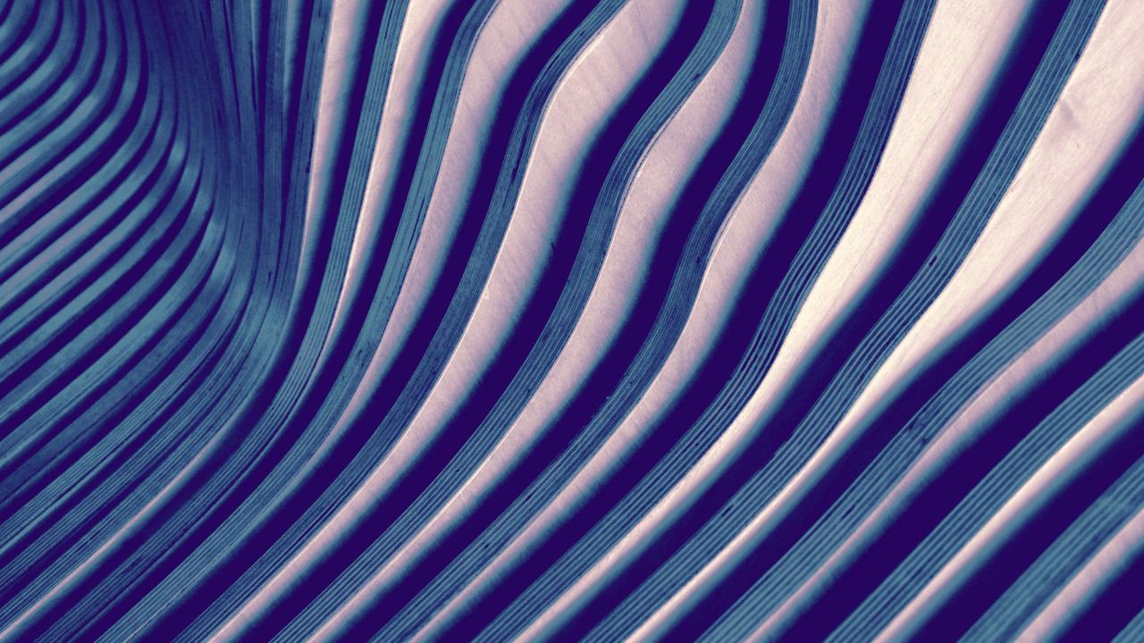 Black Abstract Texture Zoom Virtual Background.png