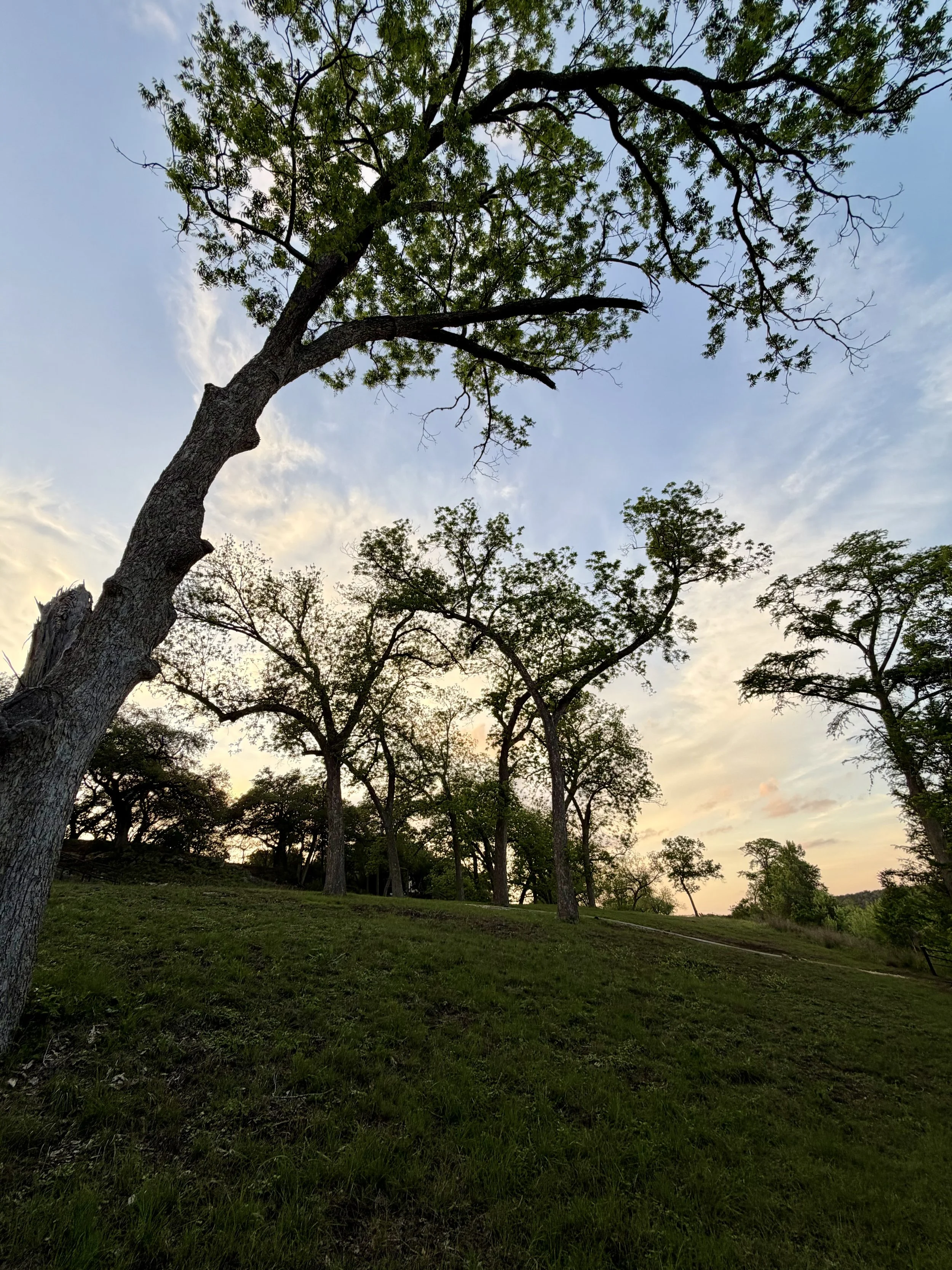 IMG_3435.jpeg