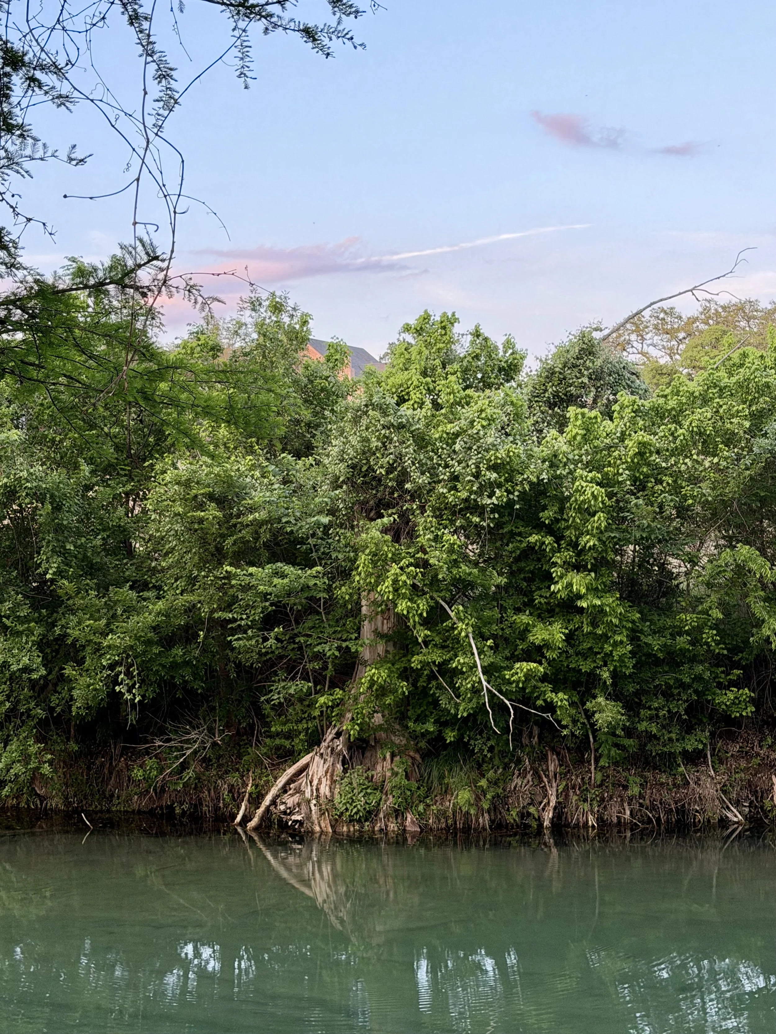 IMG_3441.jpeg