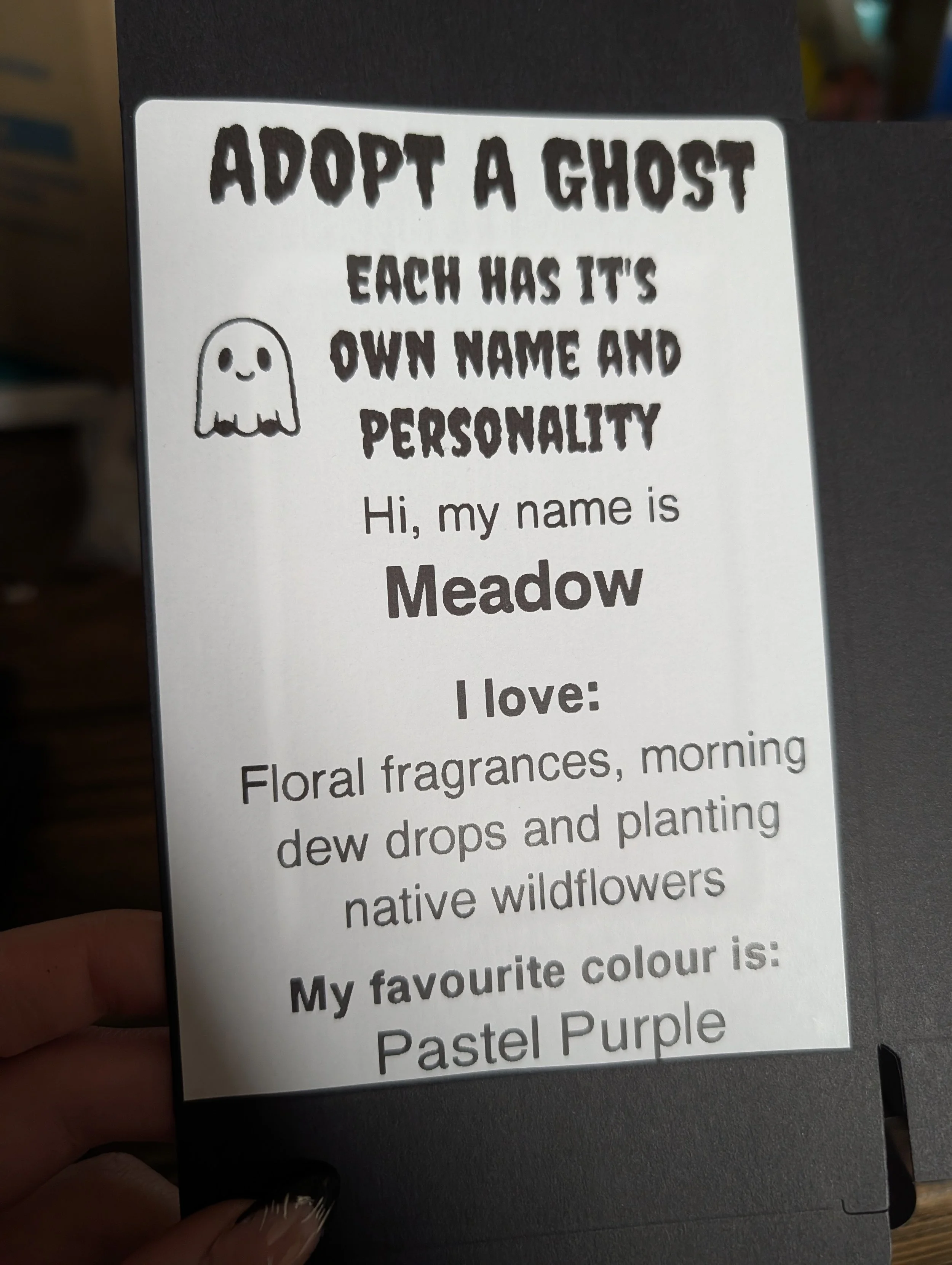 37874.jpg