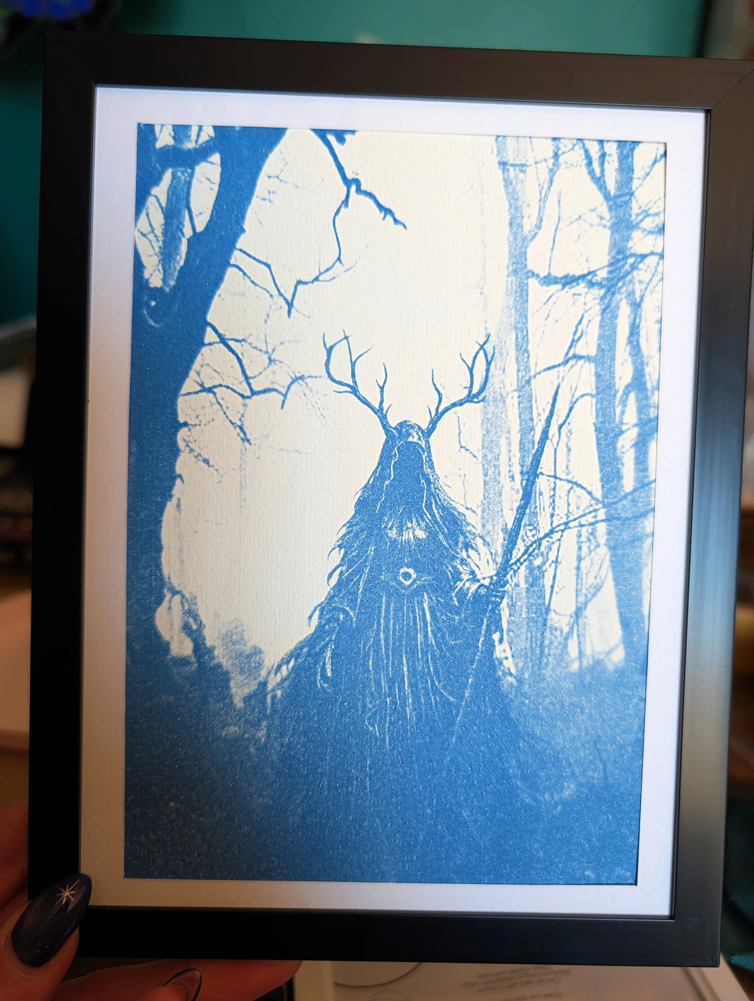 Genuine Cyanotype 8x6