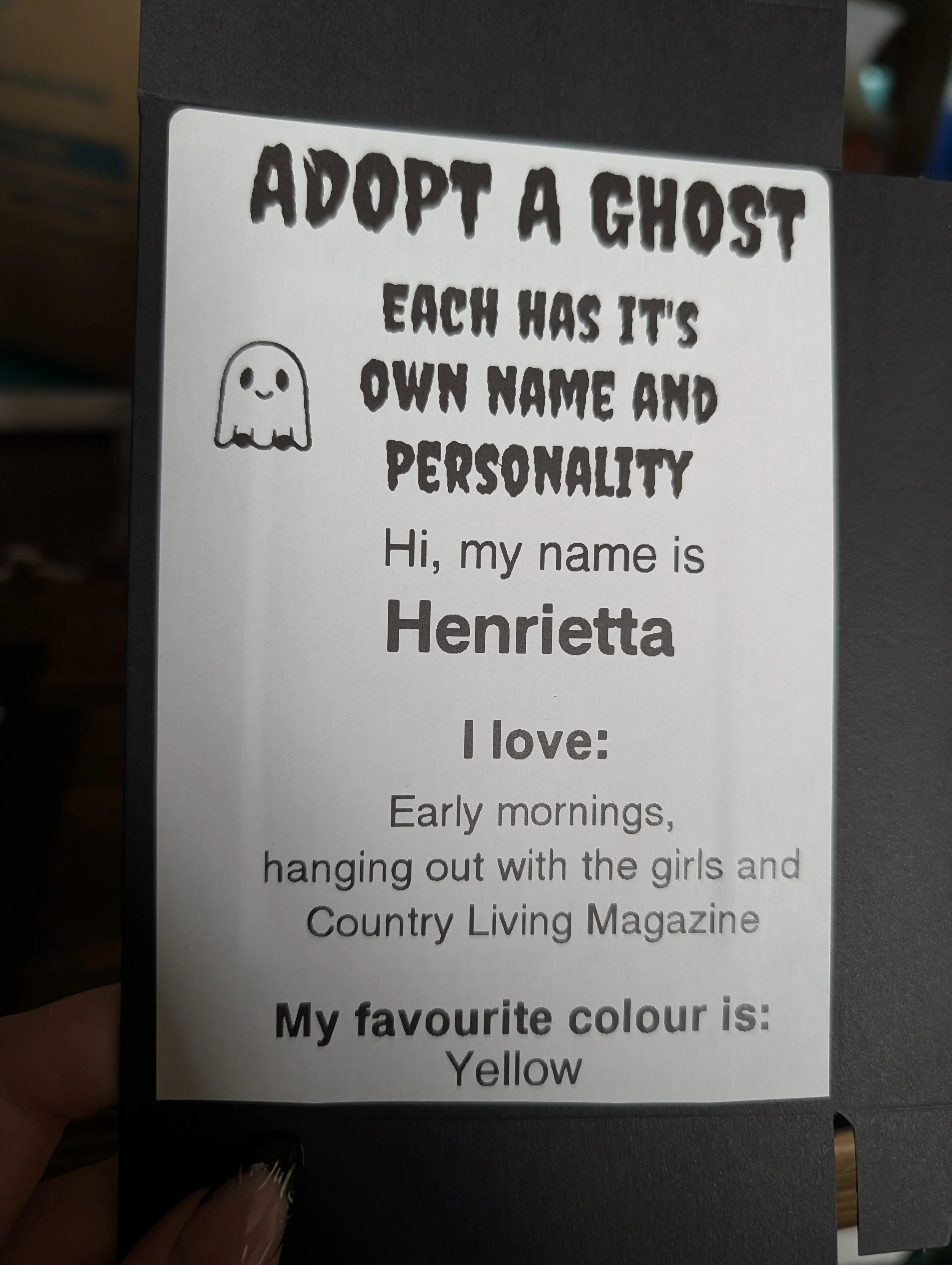 37880.jpg
