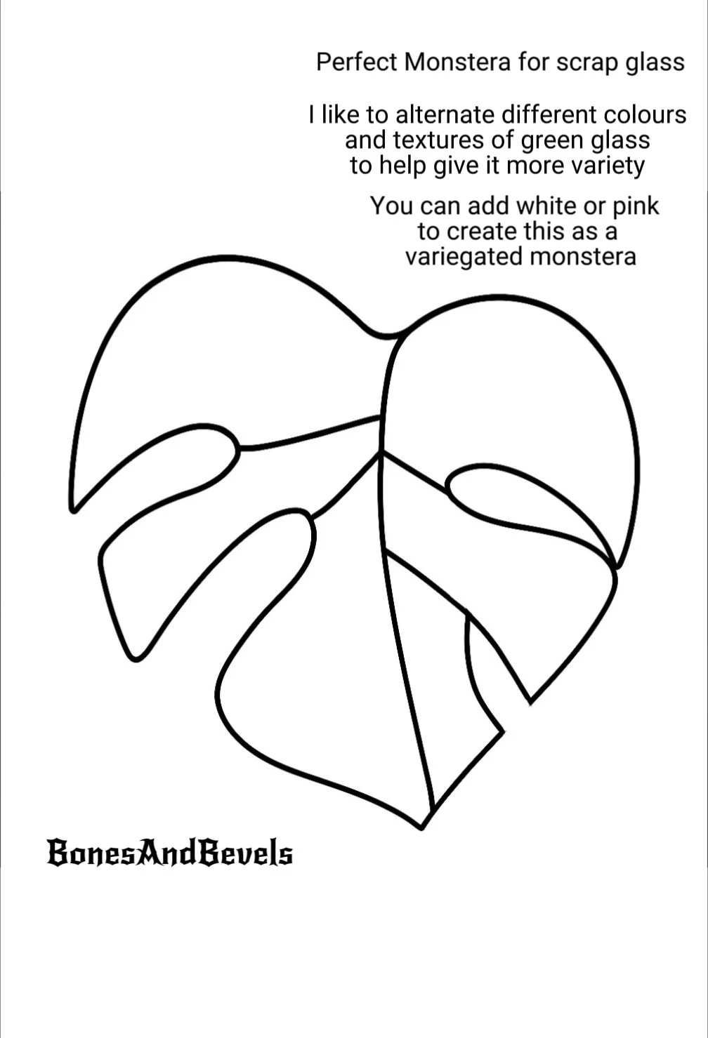 Monstera.jpg