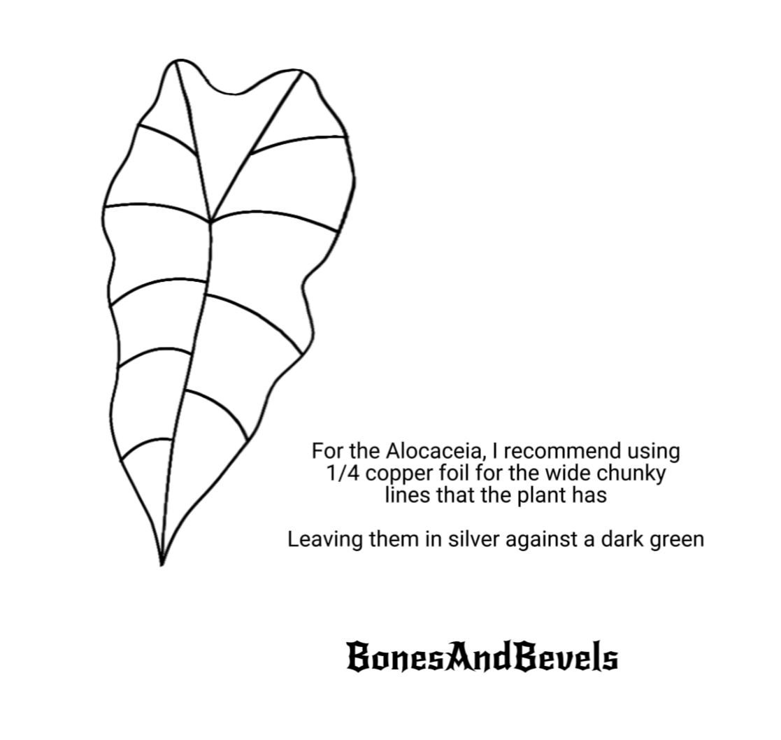 Alocasia.png
