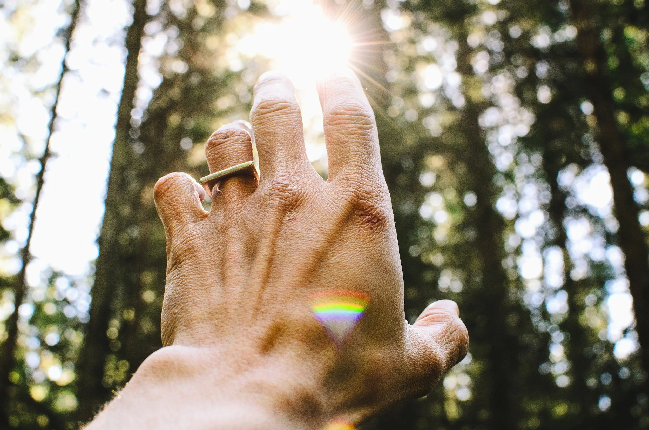 A person holding up a hand towards the sunlight, with the sun's rays shining through the fingers and creating a rainbow-colored light reflection on the hand. The background shows blurred trees and sunlight filtering through.