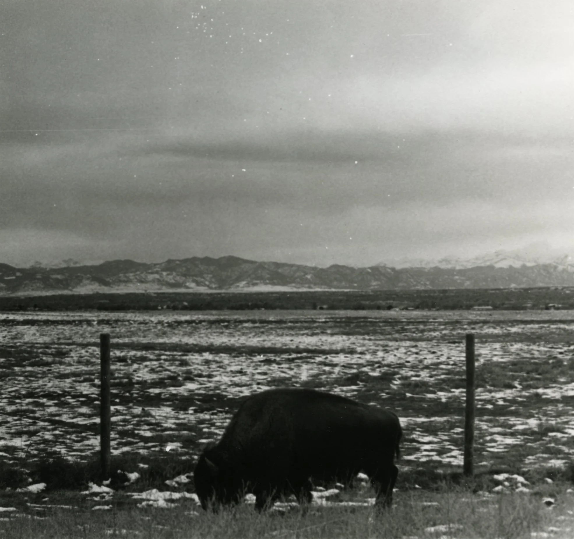image0002.jpg