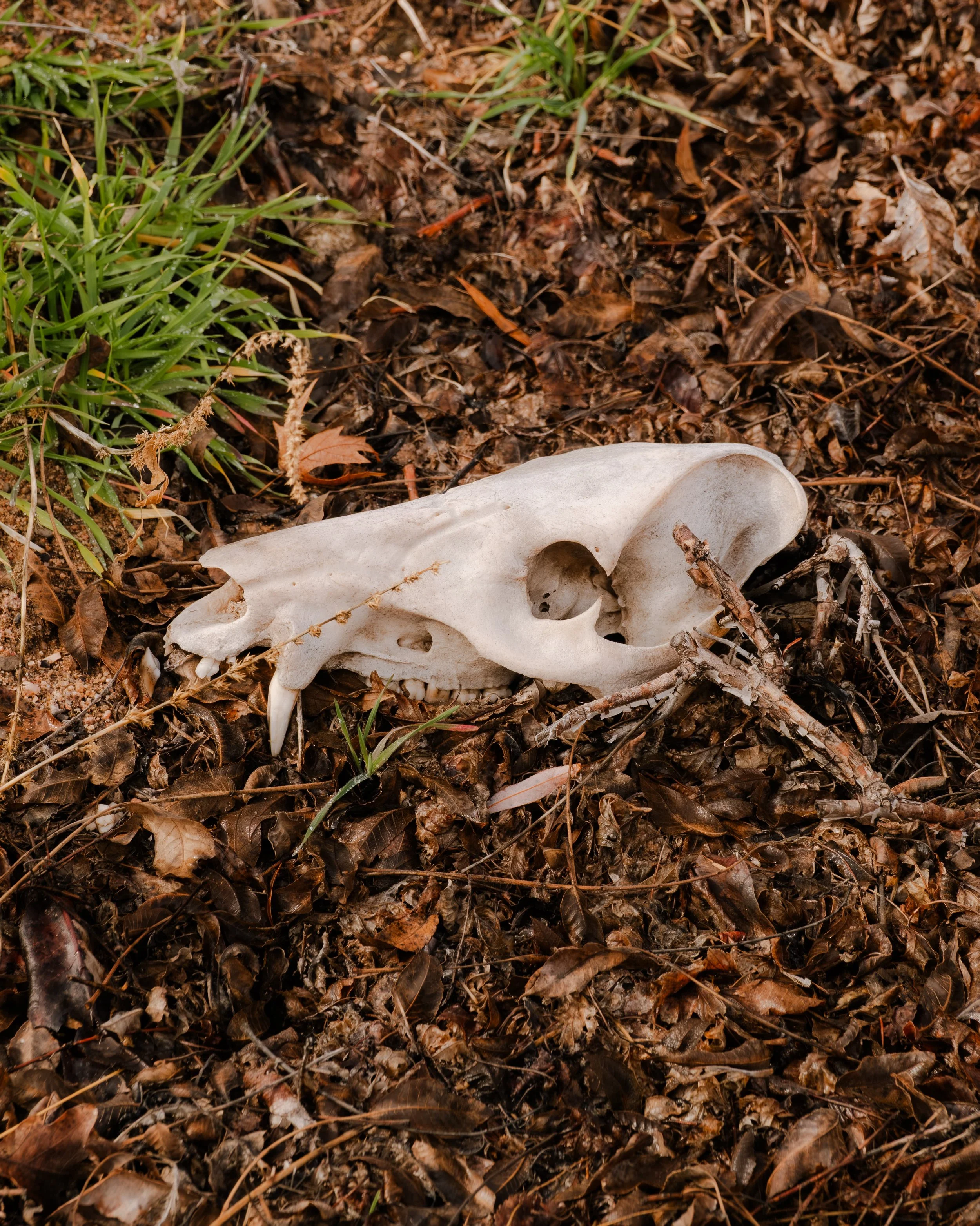 DSCF9418.jpg