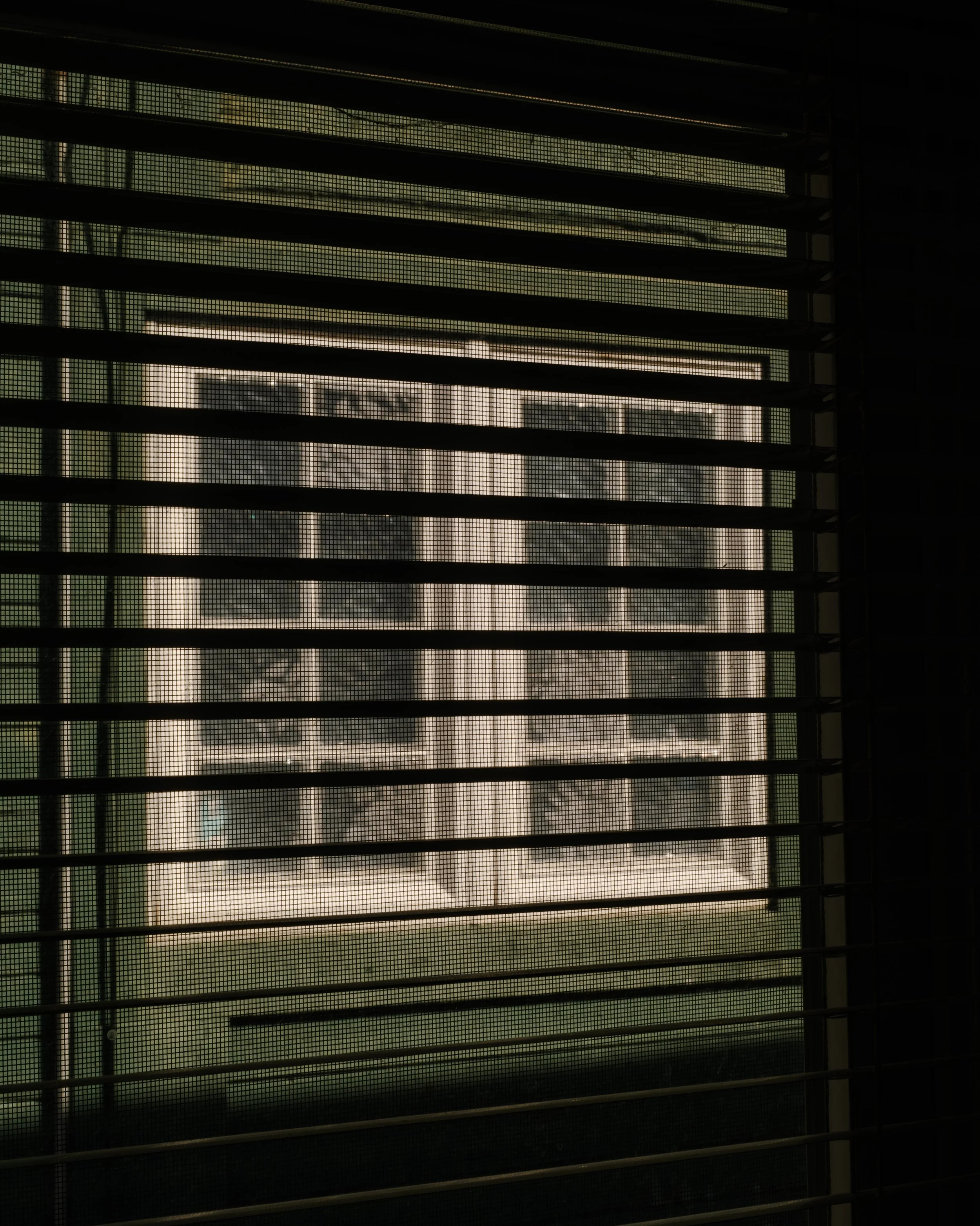 DSCF9586.jpg