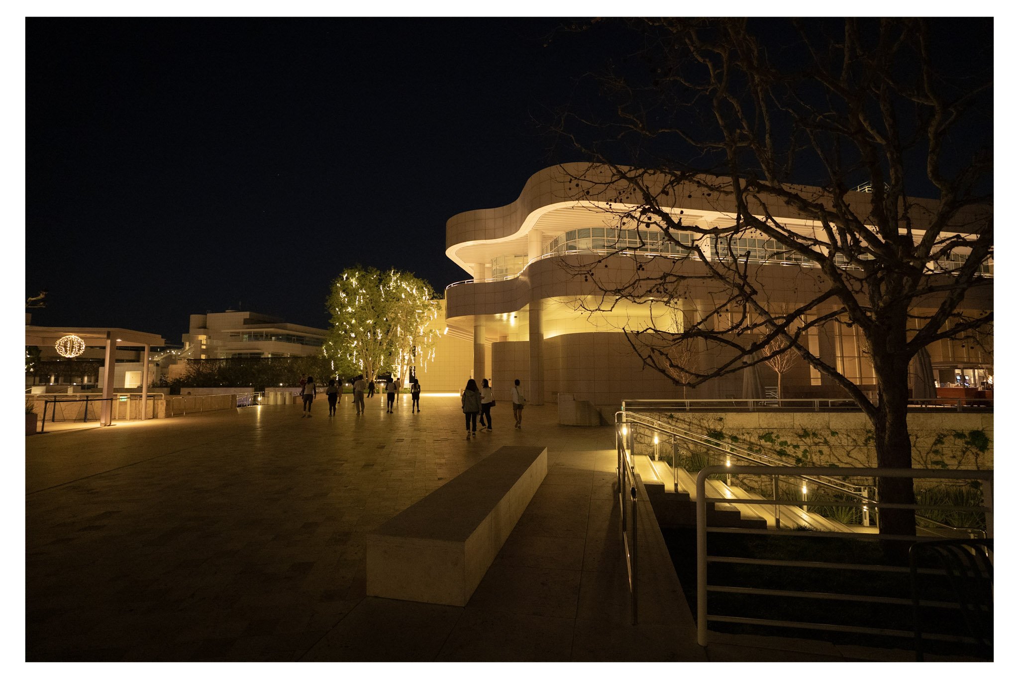 Night view of a modern building with curved design and illuminated windows, dark sky, leafless tree, and people walking outdoors.