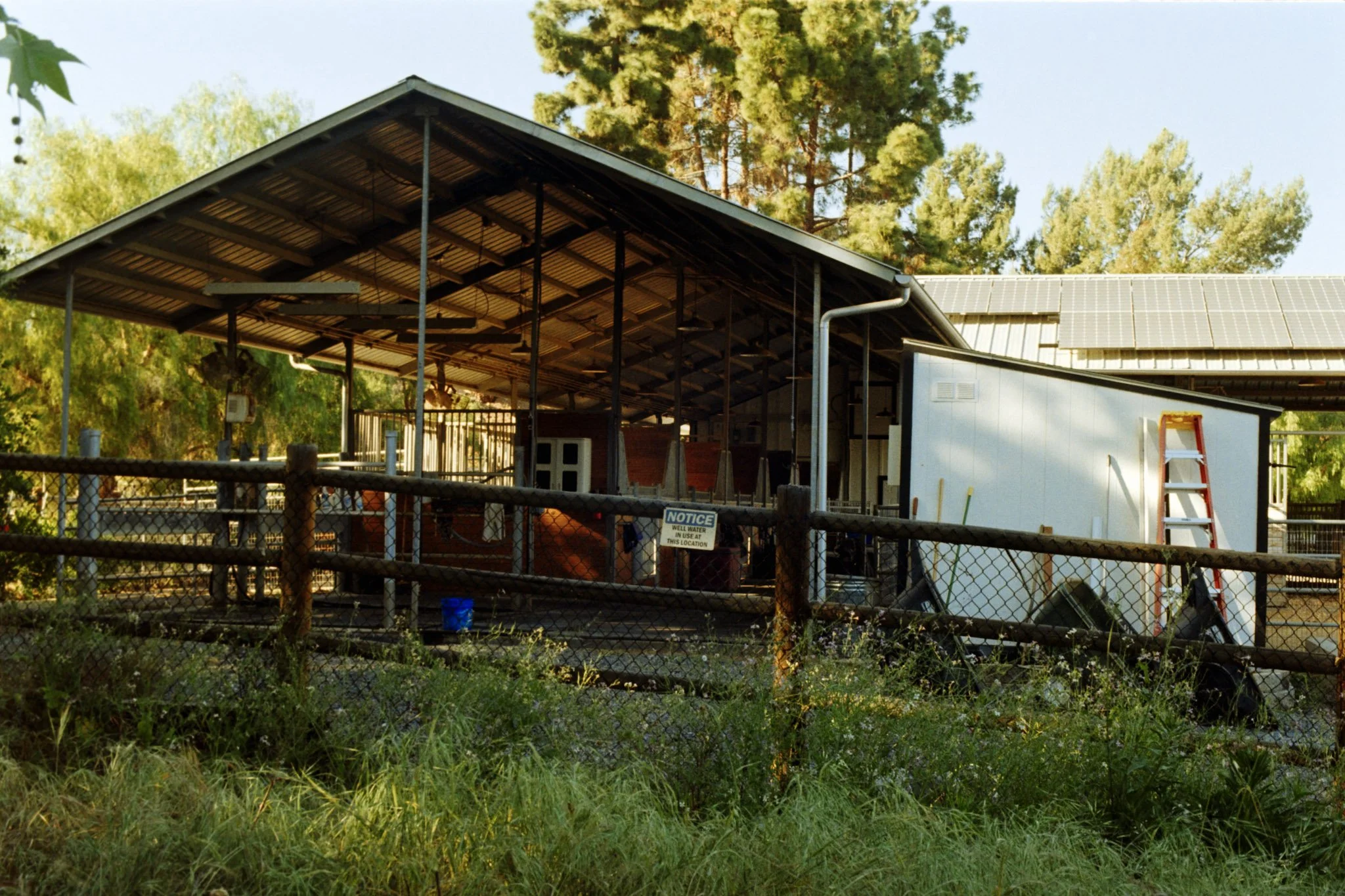 A house with a metal roof and solar panels, surrounded by trees and grass, with a chain-link fence in front.