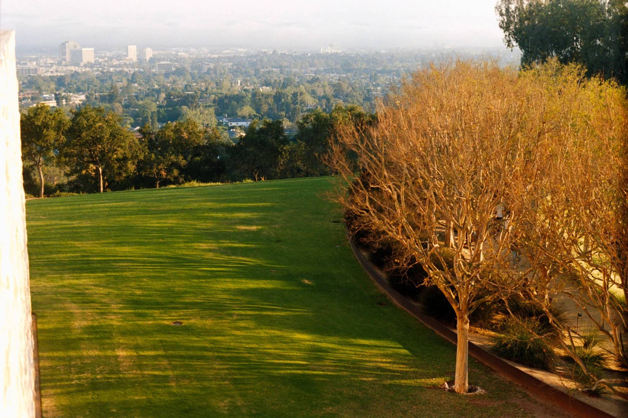 A landscape view showing a grassy area, trees with bare branches, and a city skyline in the distance with tall buildings and apartment complexes.
