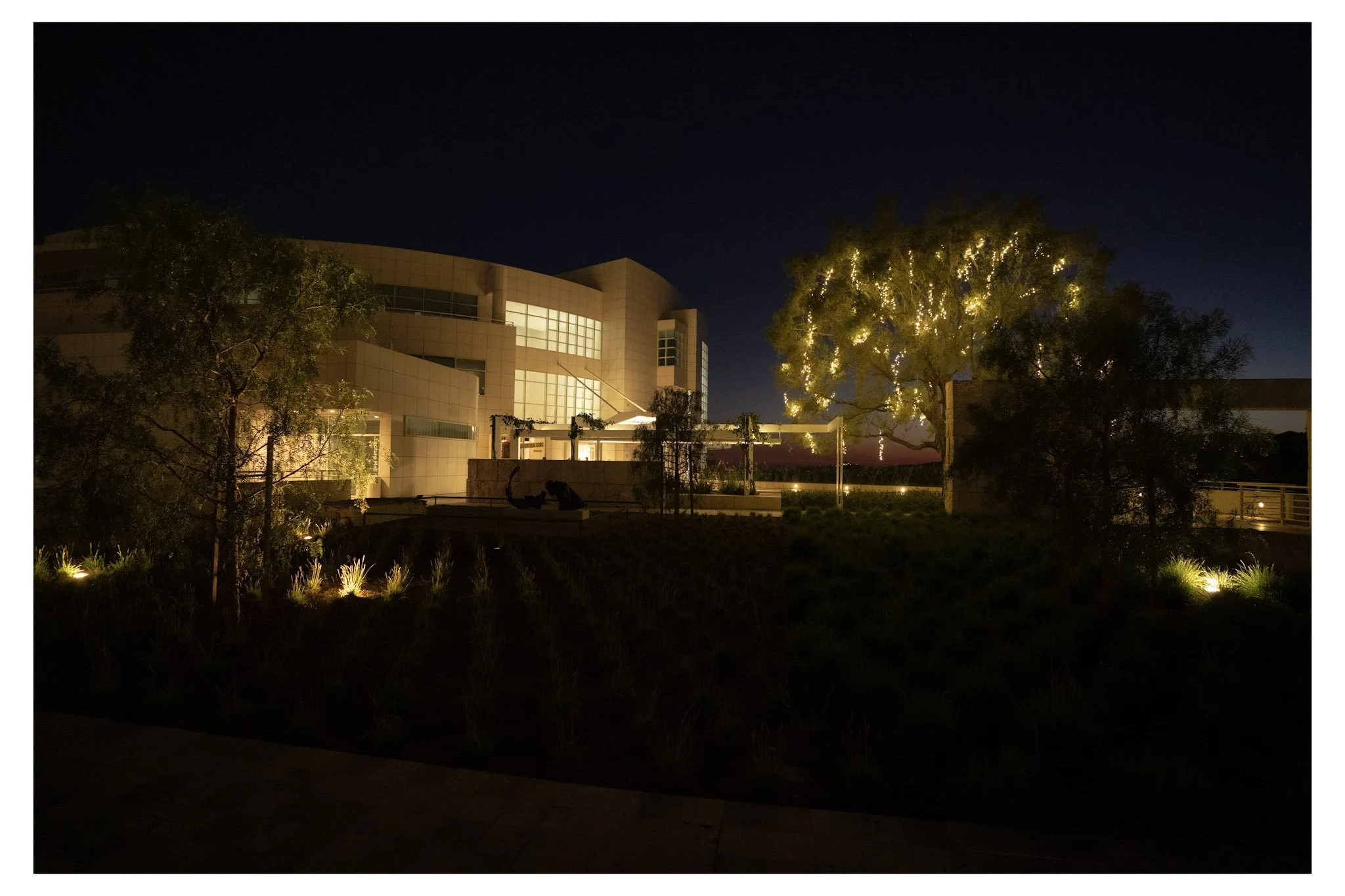 Nighttime scene of a modern building with large windows, surrounded by landscaped gardens, illuminated by landscape lighting, and a tree decorated with string lights.