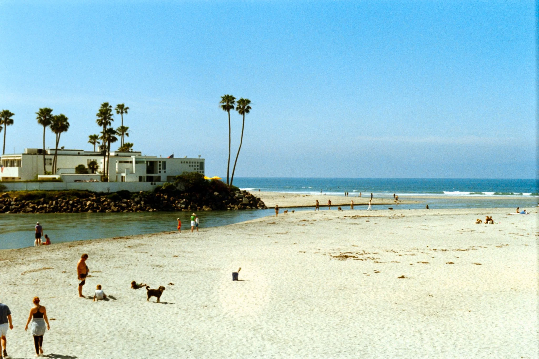 Beach scene with people walking and playing with dogs on sandy shore, distant ocean water, and residential buildings with palm trees under a blue sky.