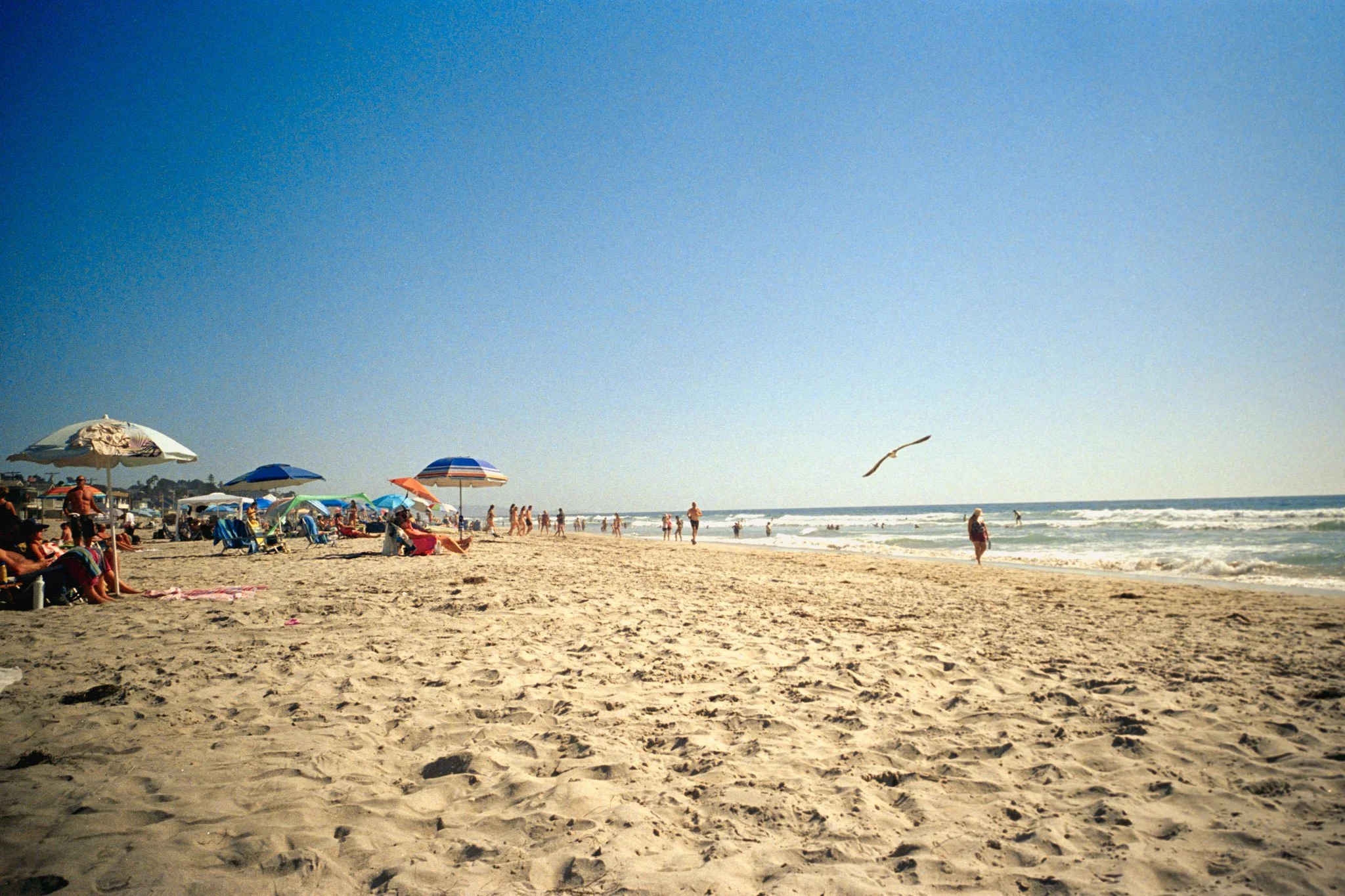 Beach scene with umbrellas, people walking, and seagull flying in clear blue sky.