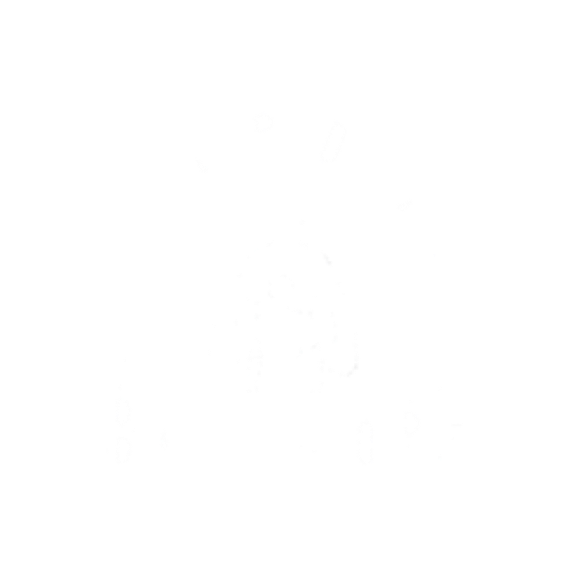guardian baltimore