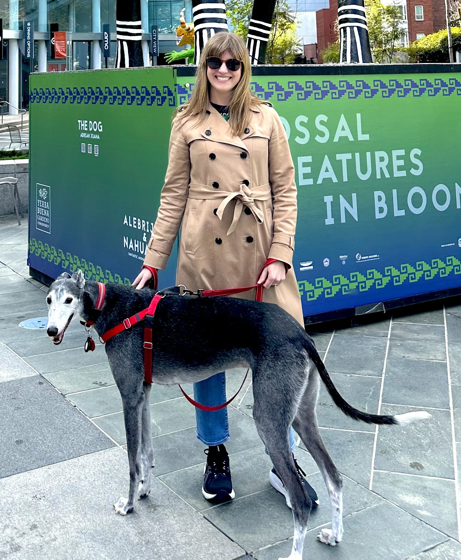 a woman and black greyhound dog standing outside