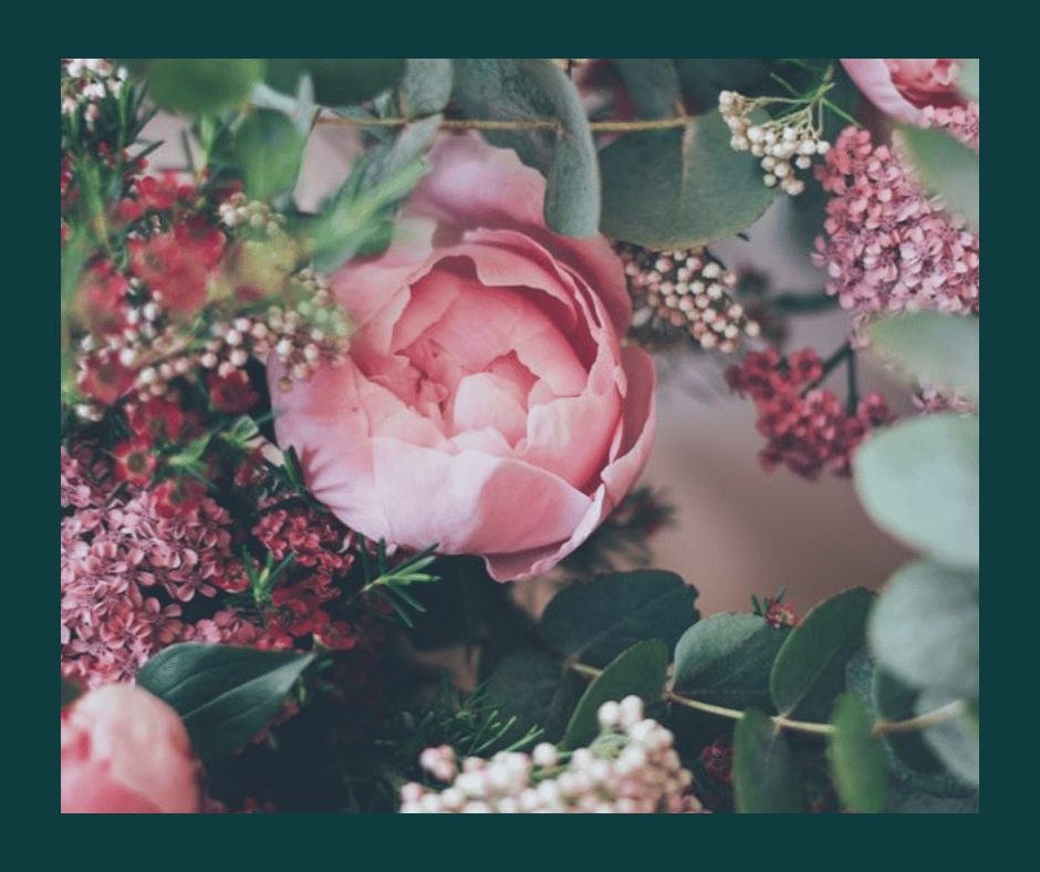 Soft pink floral arrangement symbolizing healing and emotional growth used on Throughline Psychotherapy trauma therapy website