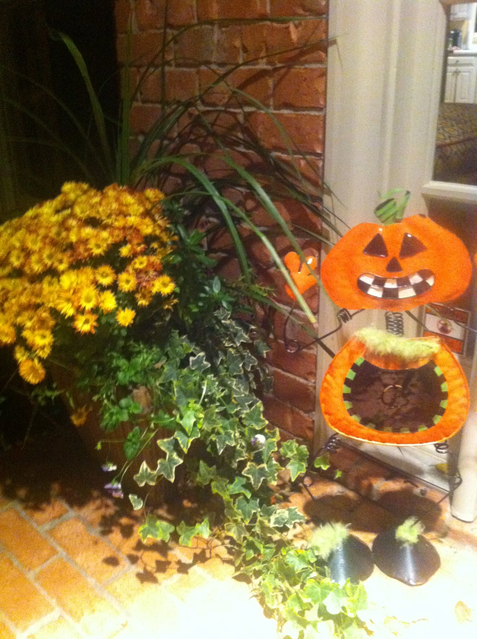 IMG_1530.jpeg