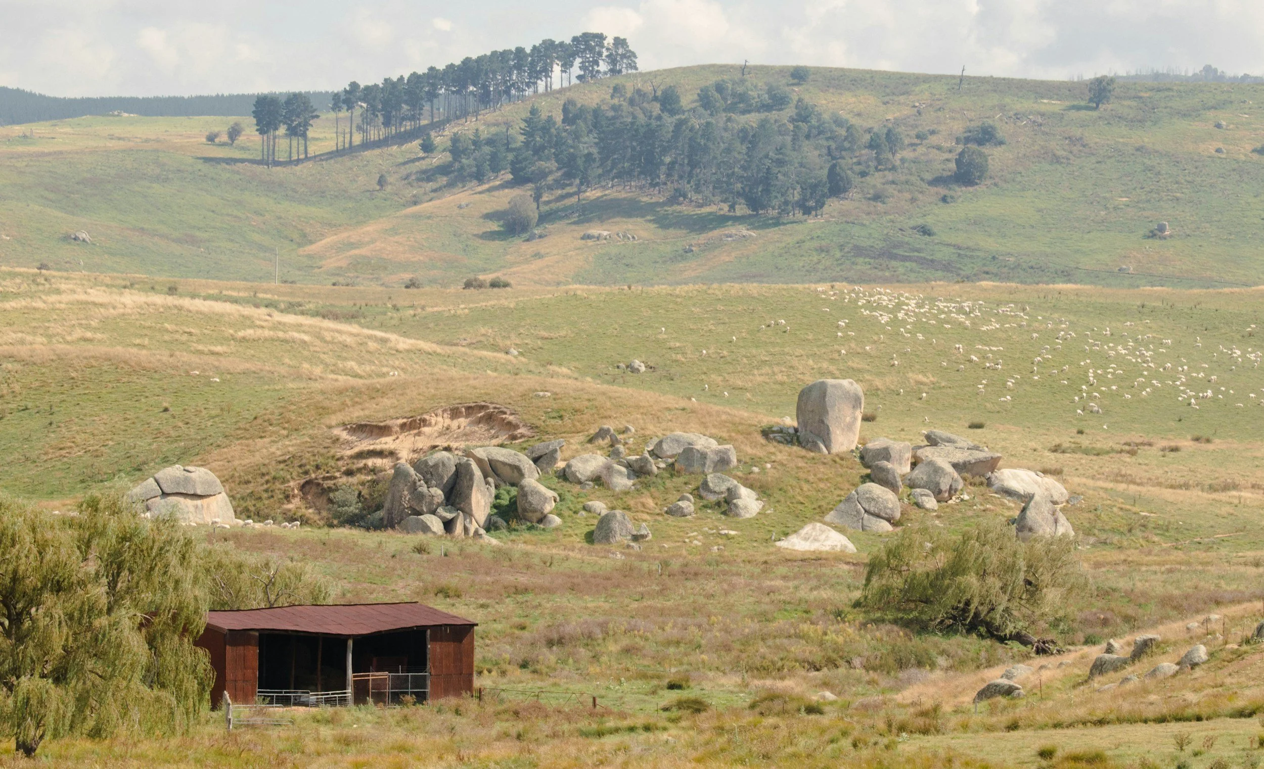 A rural landscape with rolling green hills, large boulders, and a small red barn in the foreground. There are trees scattered across the hills, and a flock of sheep grazing in the distance.