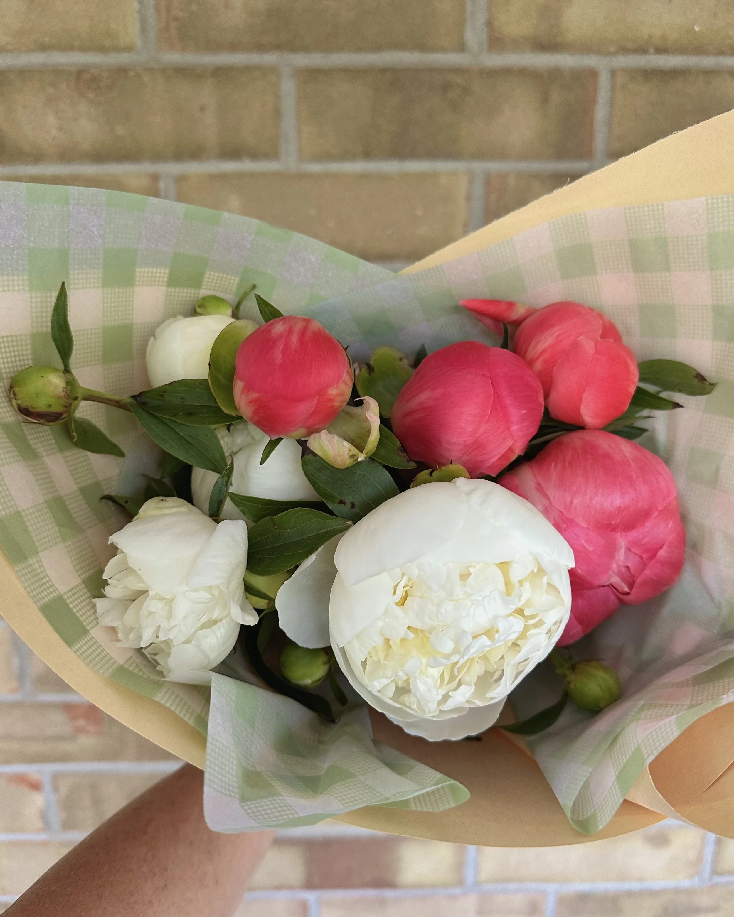 peony pic.jpg