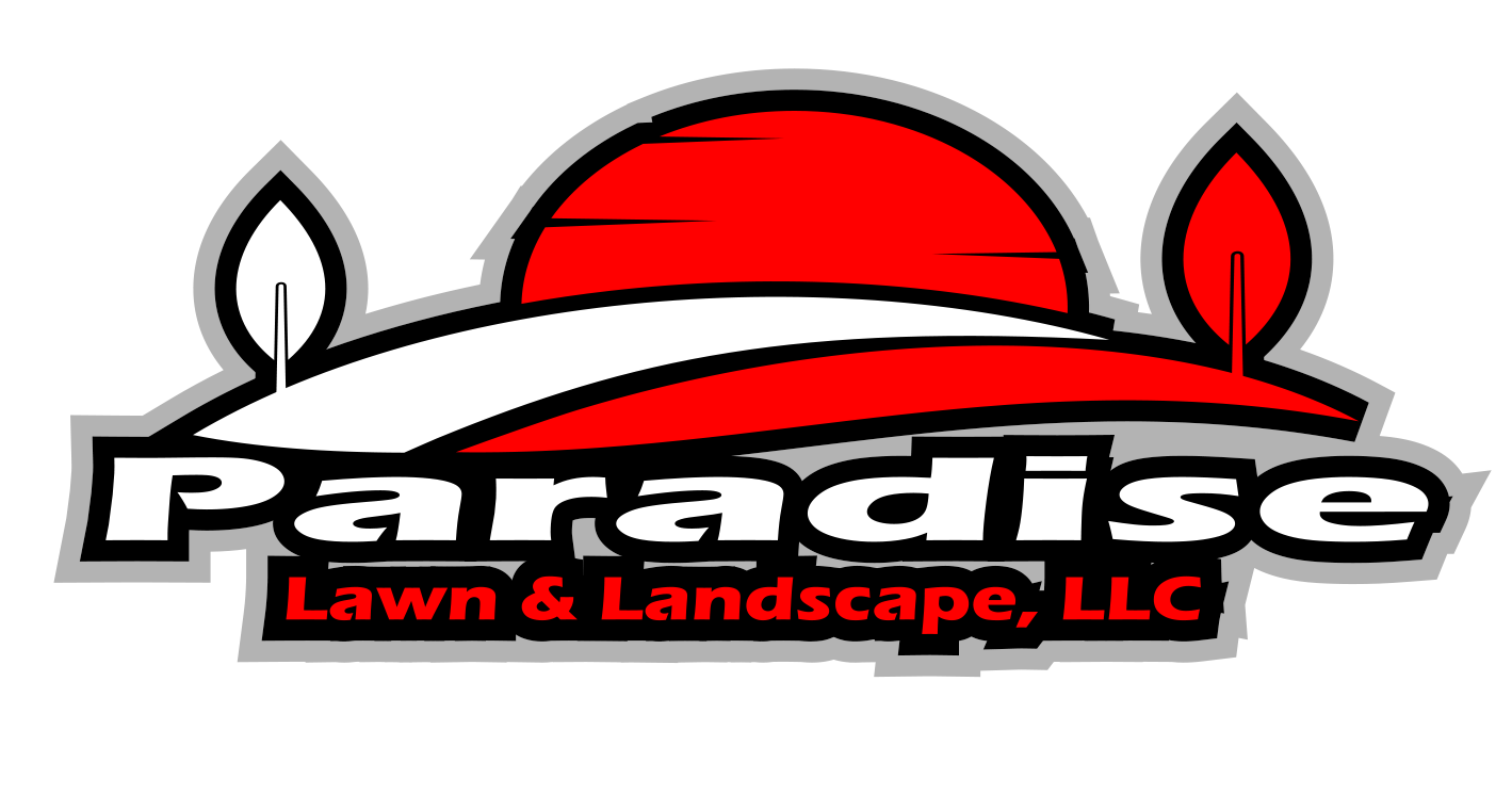 paradise.png
