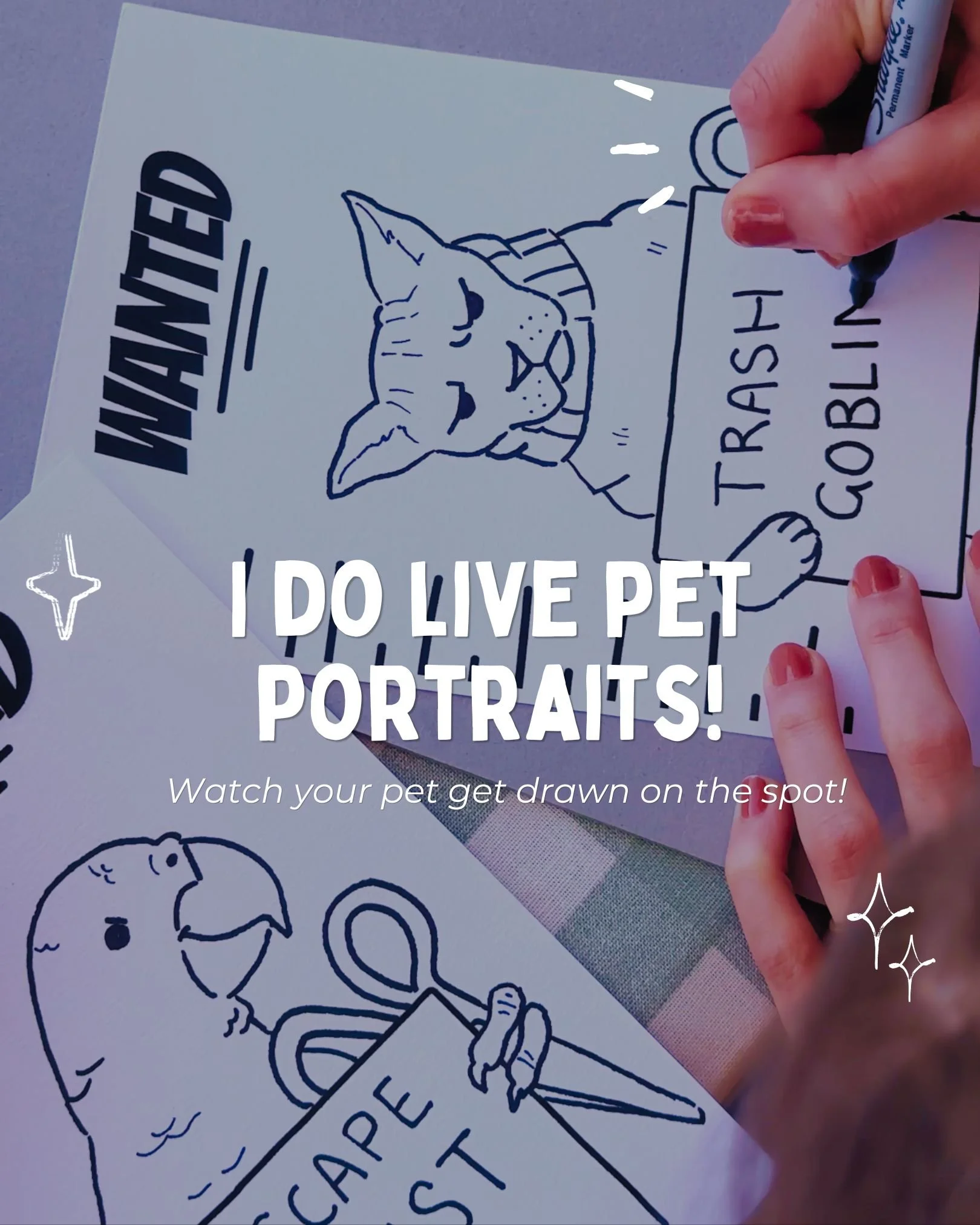 A5 live pet portrait illustrations.