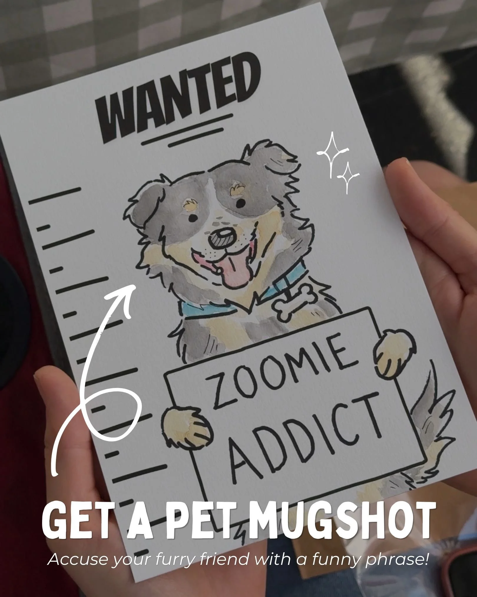 PetP2.jpg