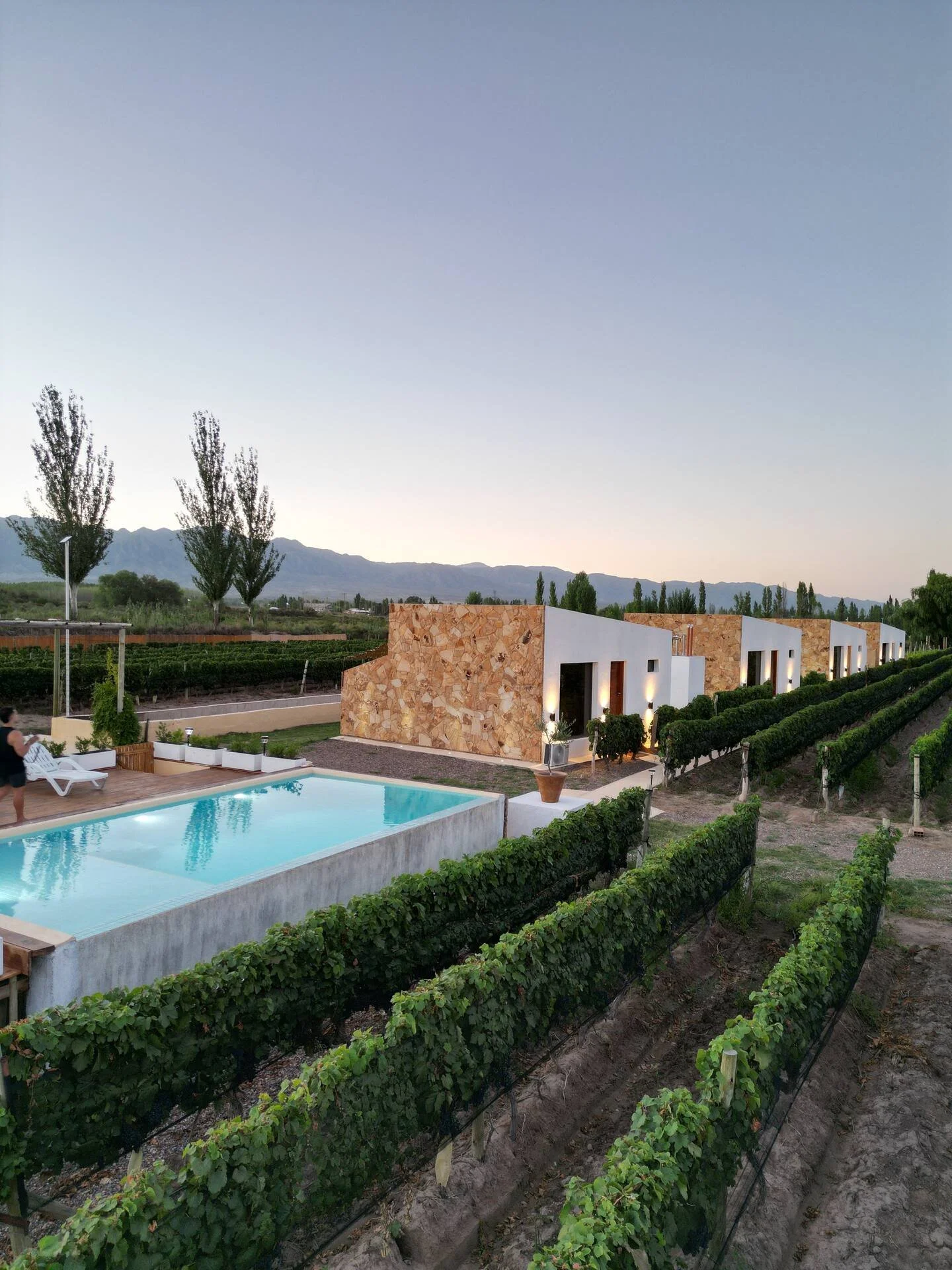 View of a modern building complex with white and stone exterior, surrounded by vineyards and trees, with mountains in the background and a swimming pool in the foreground.