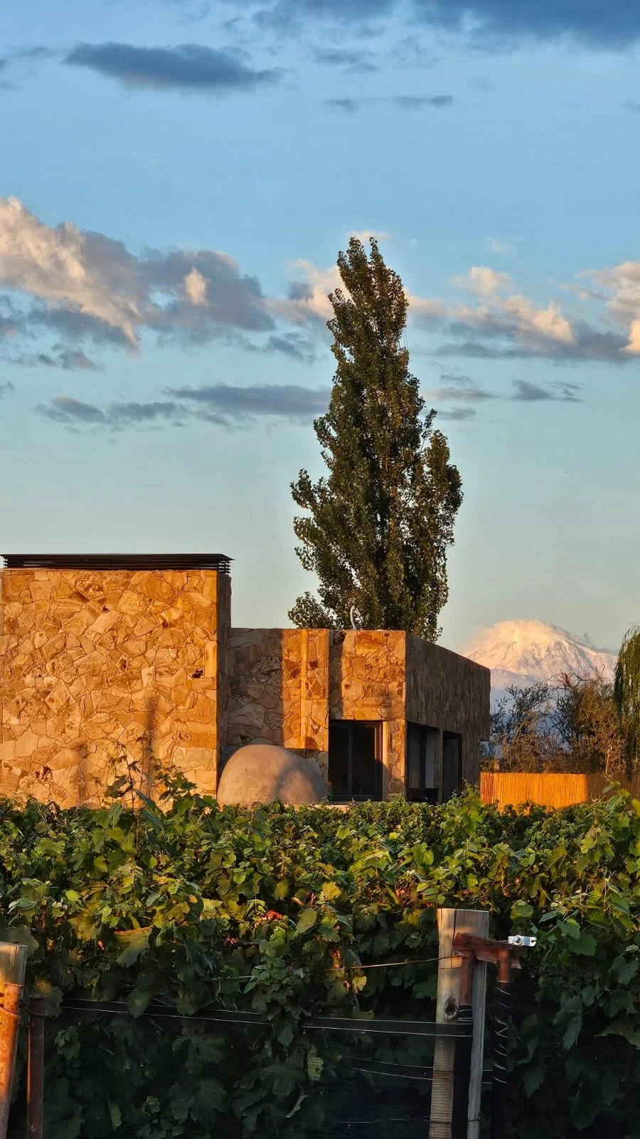 Modern stone house with large windows, a large tree, vineyard, mountain in background, cloudy sky at sunset.