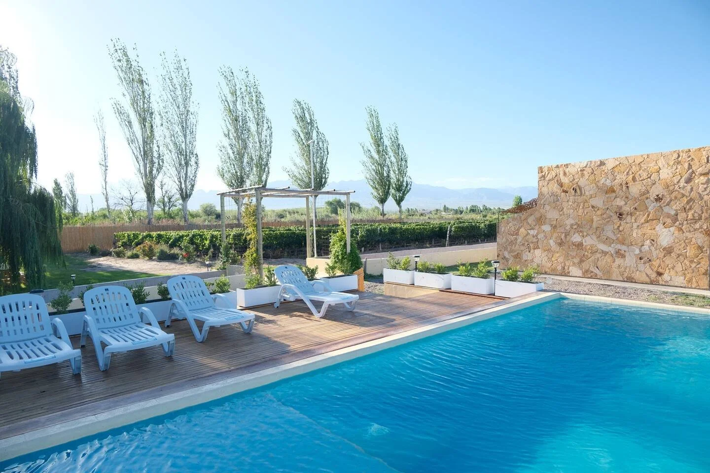 Swimming pool with white lounge chairs on a wooden deck, surrounded by trees and greenery, under a clear blue sky.