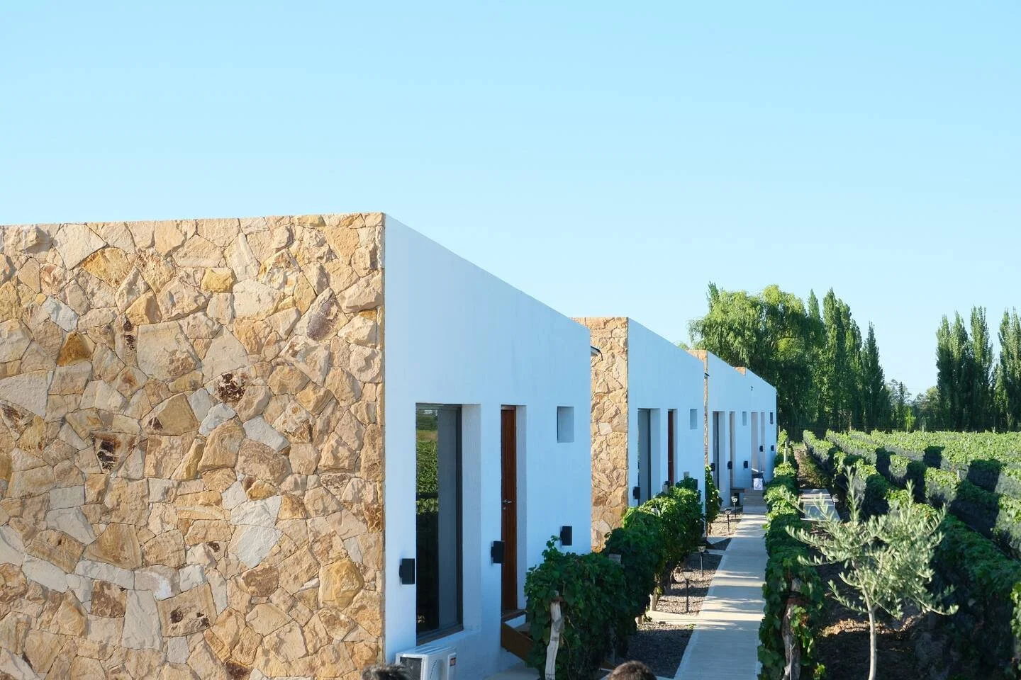 Modern row of small white houses with stone facades, sidewalk, and greenery on either side, under a clear blue sky.