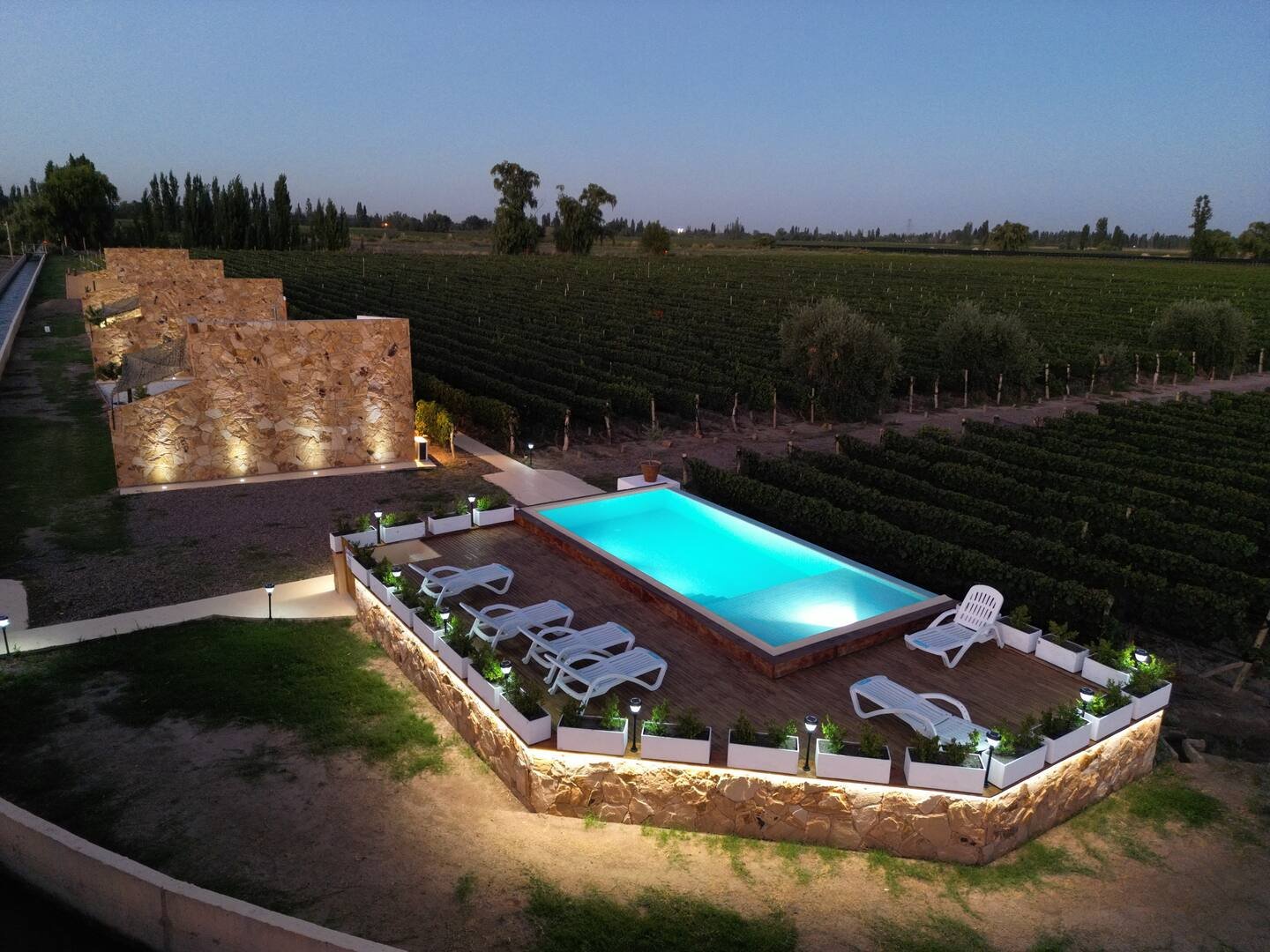 A backyard swimming pool illuminated at dusk, surrounded by lounge chairs and potted plants, with decorative stone walls and a vineyard in the background.