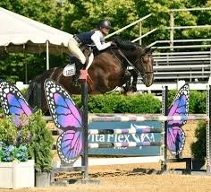 Sadie Barnett and Matisse