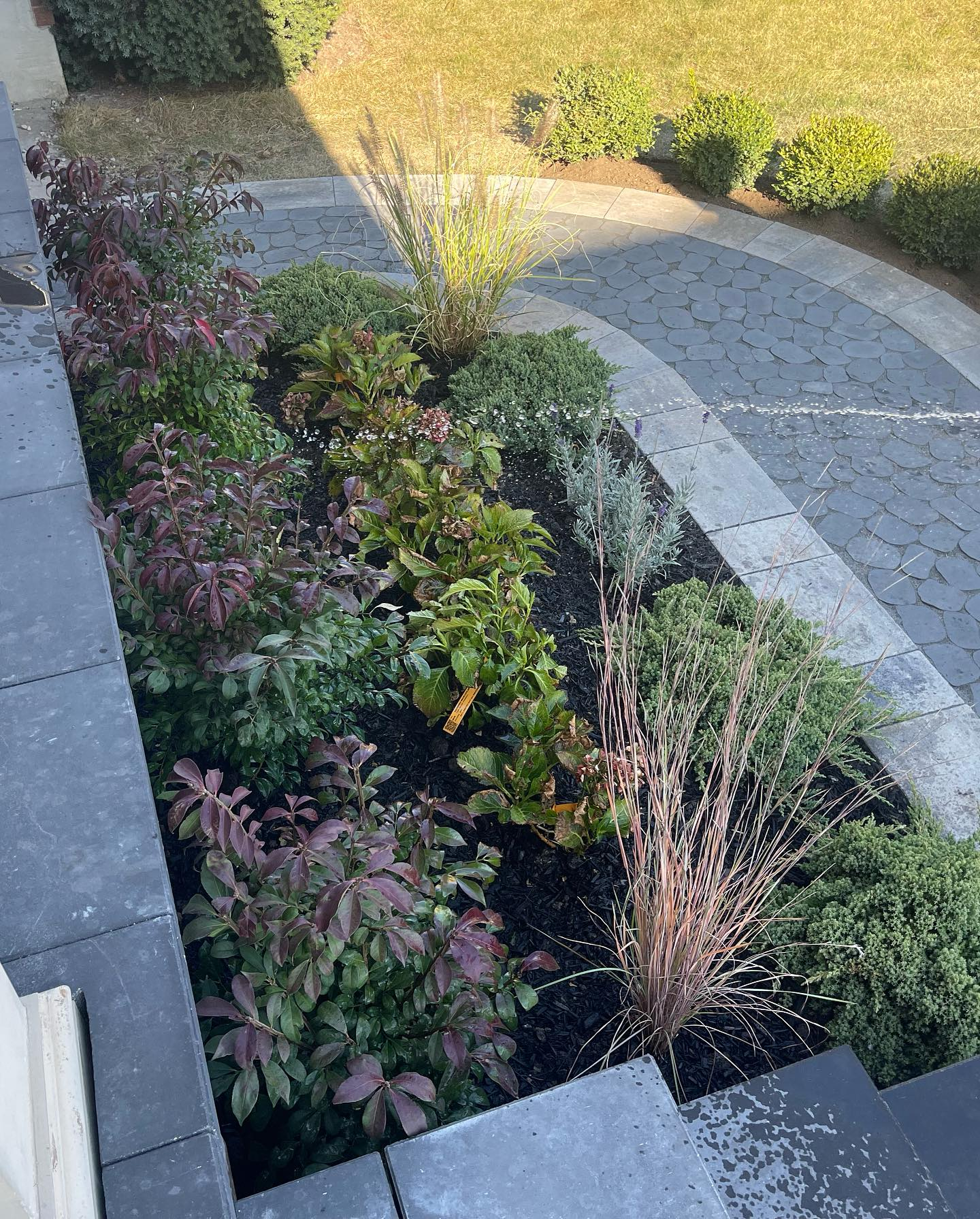 A landscaped garden bed with various plants, surrounded by paver stones and adjacent to a curved stone pathway. There is a water sprinkler spraying water into the plants, and a lawn with neatly trimmed bushes in the background.