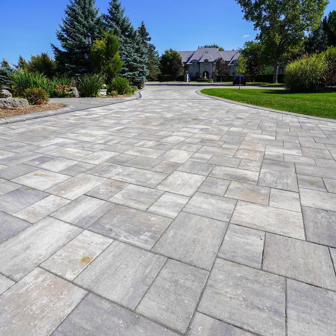 Concrete driveway leading to a large house with a gray roof, surrounded by trees and greenery on a sunny day.