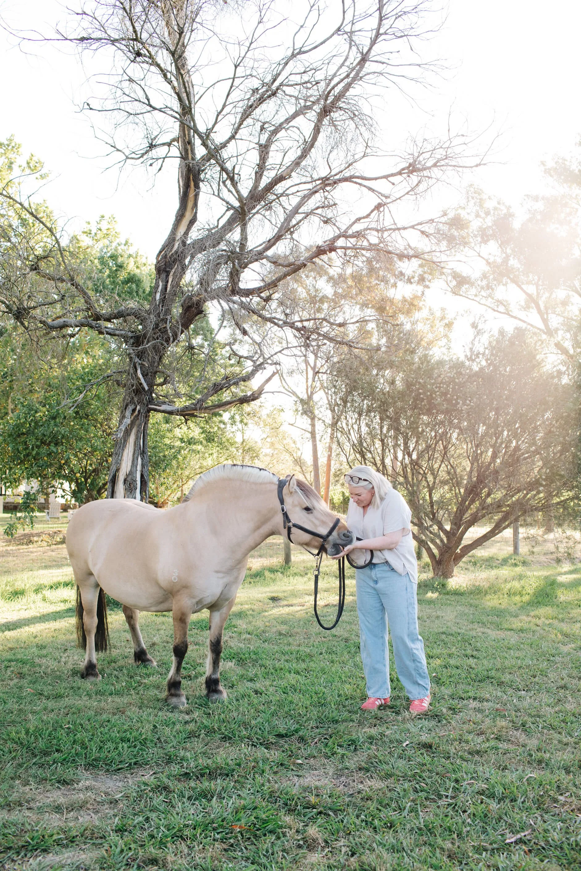 A woman standing on green grass petting a beige horse with a black halter. The background features a large tree with bare branches and other trees with green foliage, under sunlight.