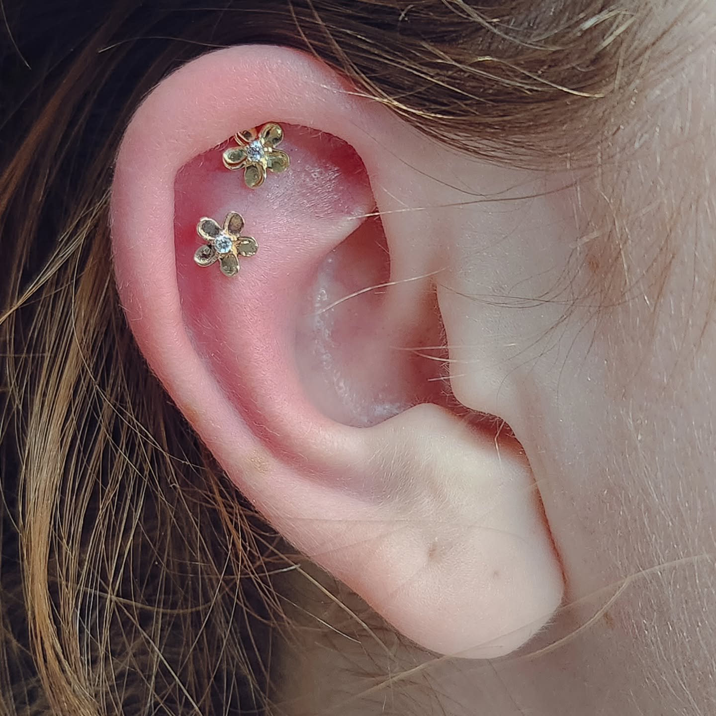 A couple sweet Helix piercings. Rocking a couple yellow gold flower tops from @junipurrjewelry 

#artifexlongmont #bodypiercing #goldjewelry #bodyjewerly #yellowgold #thezunster #longmontcolorado #coloradosfinest