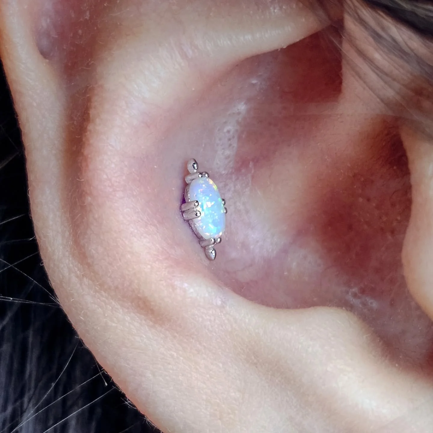 Conch piercing with white gold and white opals top from @junipurrjewelry . I absolutely love the look of this top.