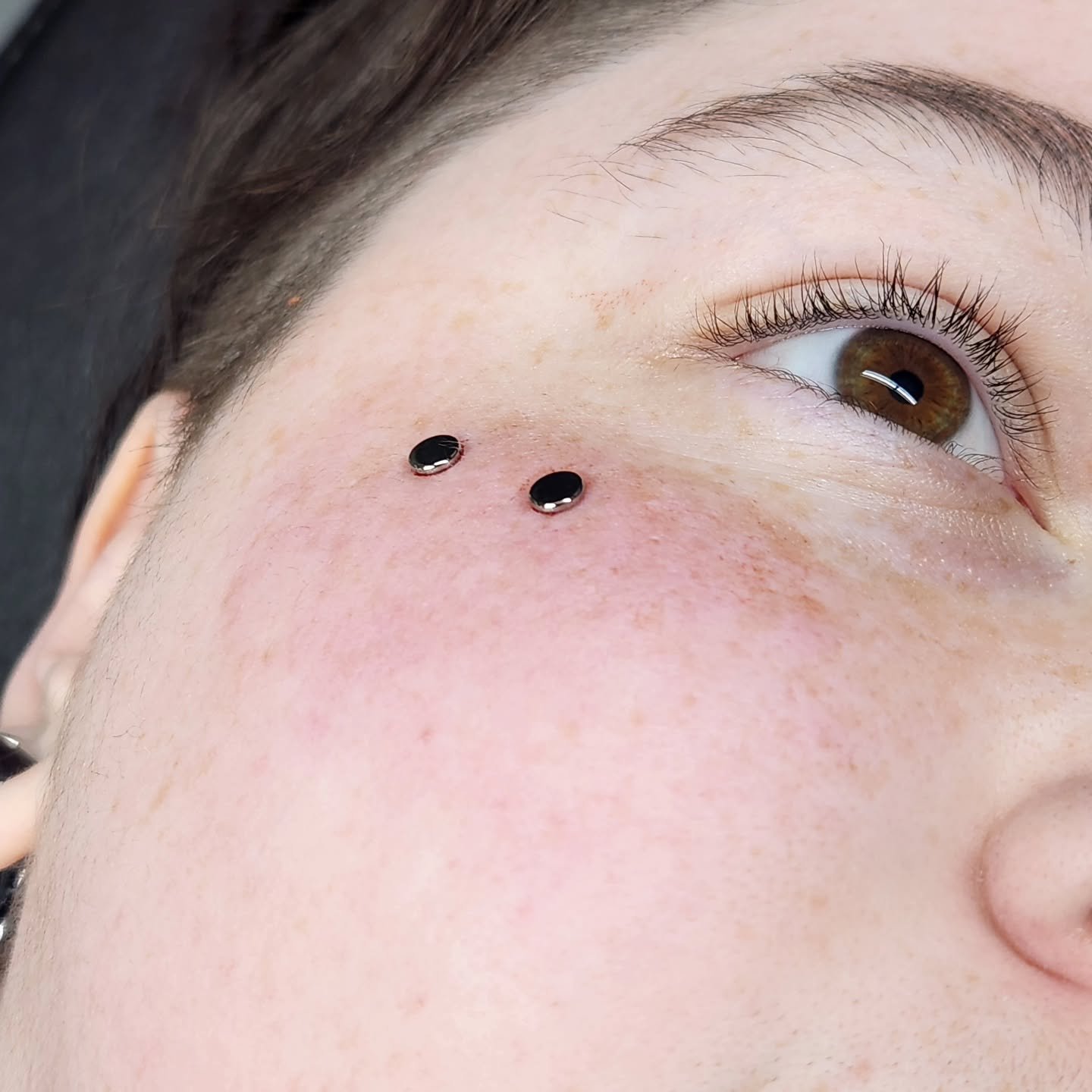Check out this anti-eyebrow surface piercing. It's one of my specialties. Come in and see me anytime for your piercing needs.

If your piercer is using a curved barbell for your anti-eyebrow, they're an idiot. Enough Said...

@anatometalinc 
@artifex