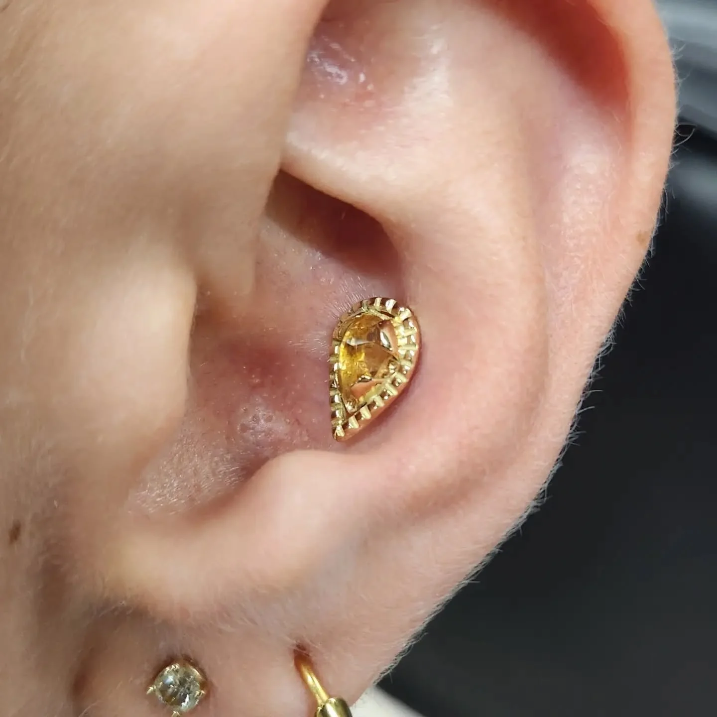 Conch Piercing with a 14k Rose Gold and Citrine top from @kiwi.Jewelry
@artifexbodymod
♡
ArtifexLongmont.com
Facebook.com/Artifexbodymod
♡
Instagram/Facebook - @TheZunster
Website - http://TheZunster.com
YouTube - @ritualfleshsuspensionteam
♡
#thezun