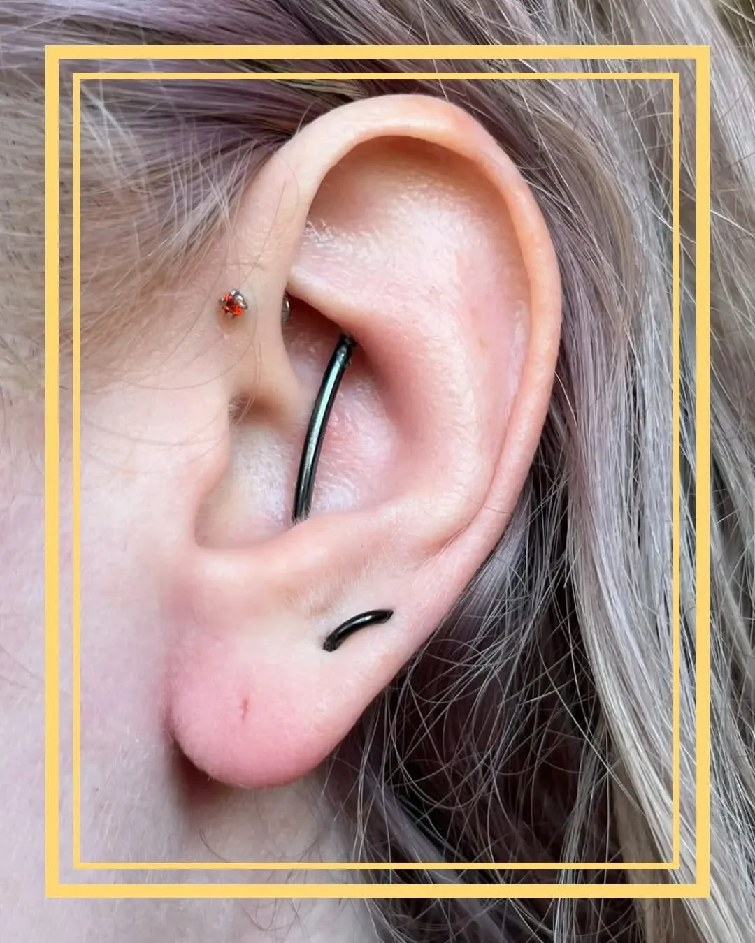 Custom vertical conch Industrial piercings. Looking dope with this Niobium Barbell anodized black from Anatometal.
@artifexbodymod 
@thezunster
@anatometalinc
♡
ArtifexLongmont.com
Facebook.com/Artifexbodymod
♡
Instagram/Facebook - @TheZunster
Websit