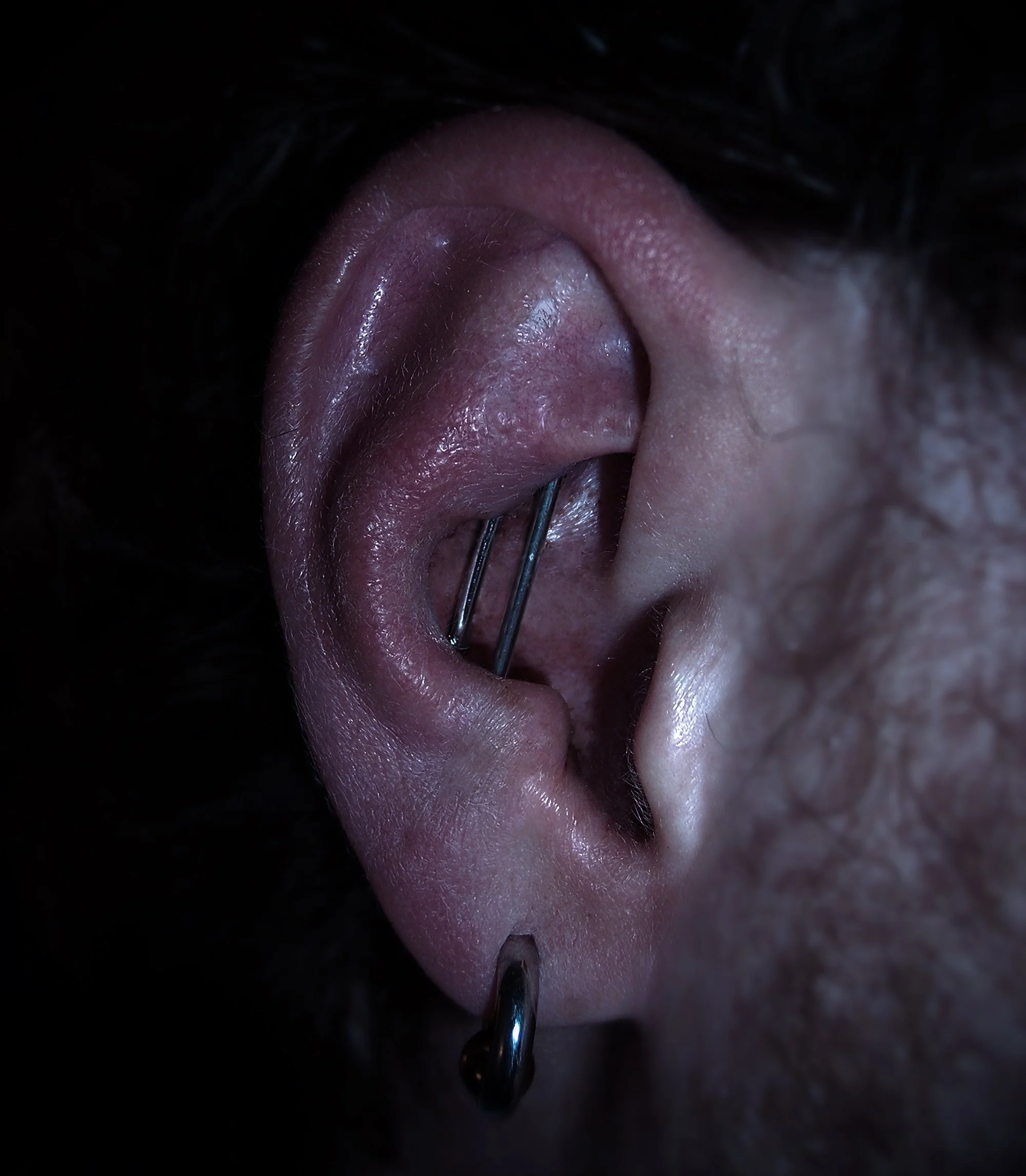 Close-up of vertical conch industrial piercings in a client's ear.
