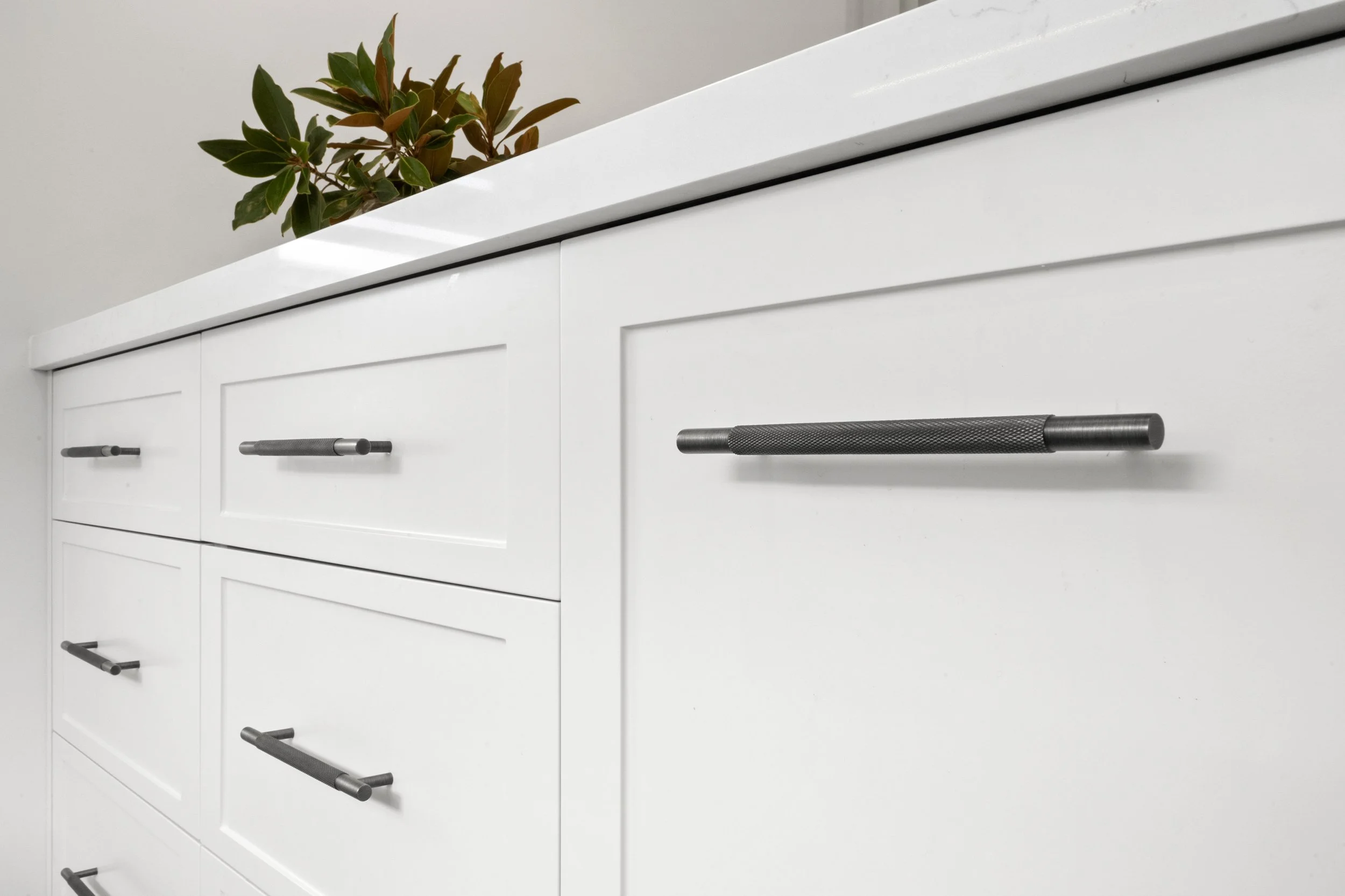 Close-up of white kitchen cabinets with black bar handles, with a green leafy plant on top.
