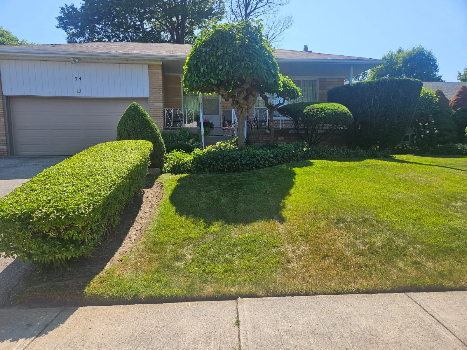 Freshly cut lawn with clean edging and a neat finish.