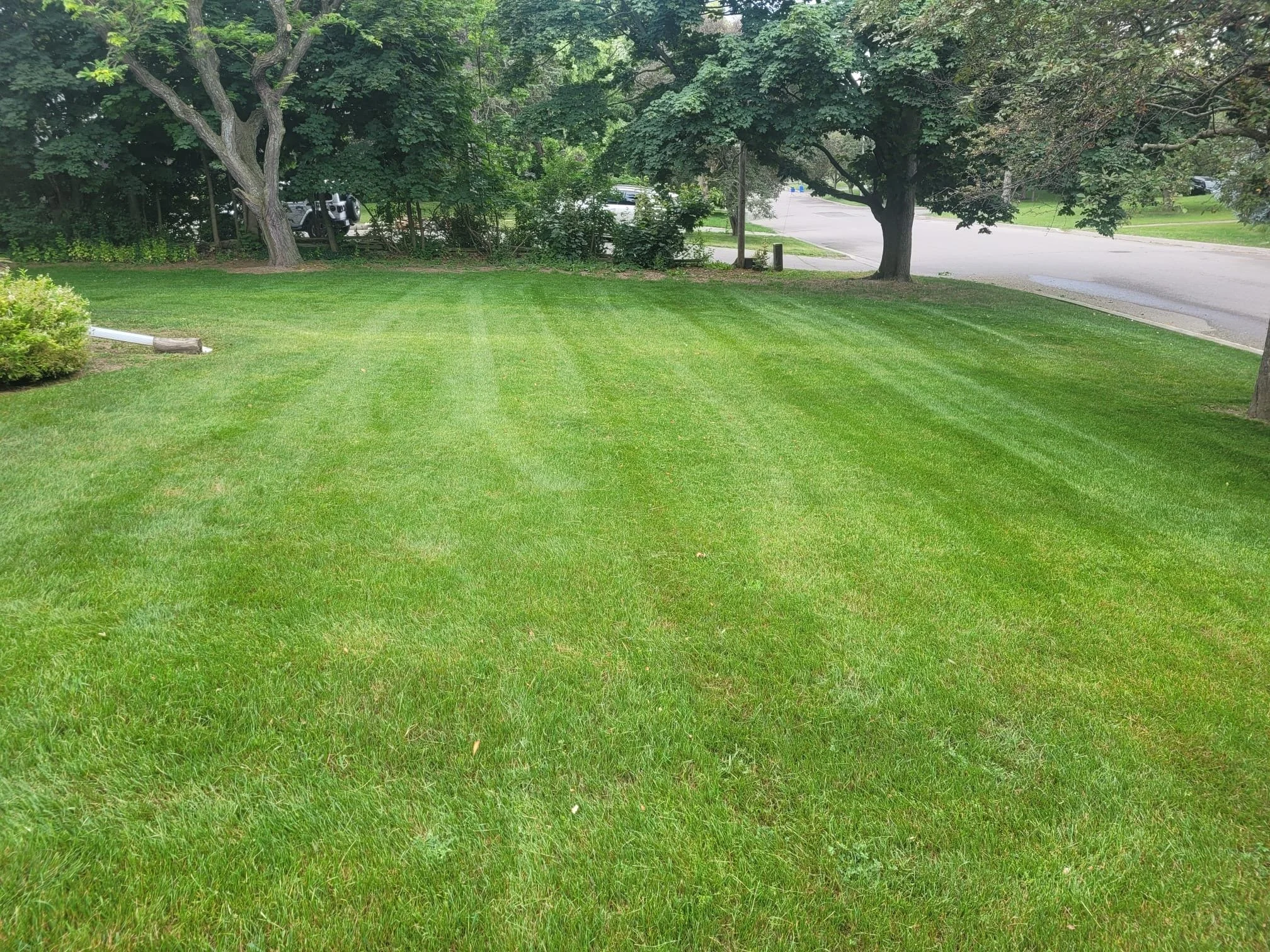 Our Commitment to Quality