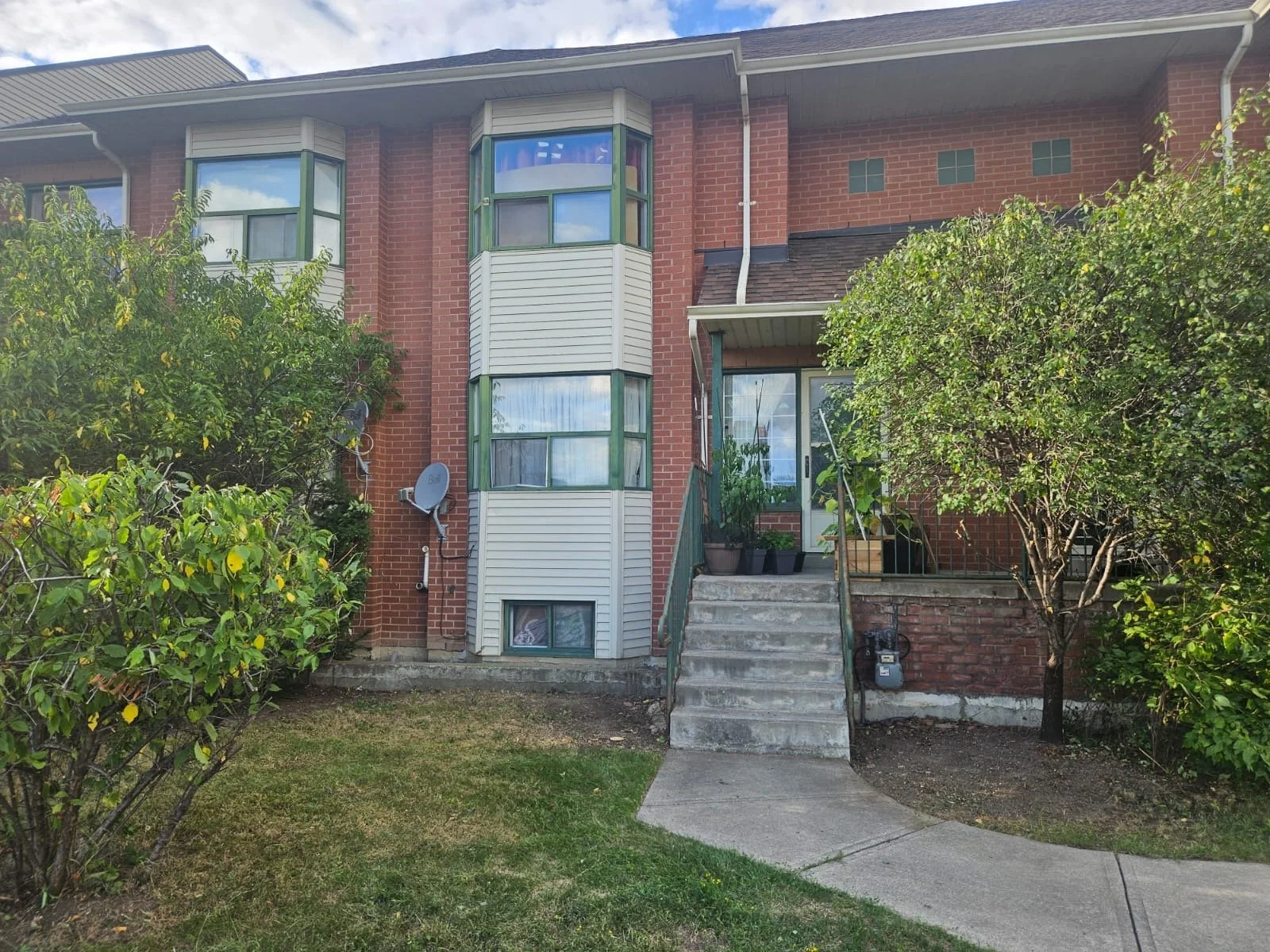 After lawn care transformation.