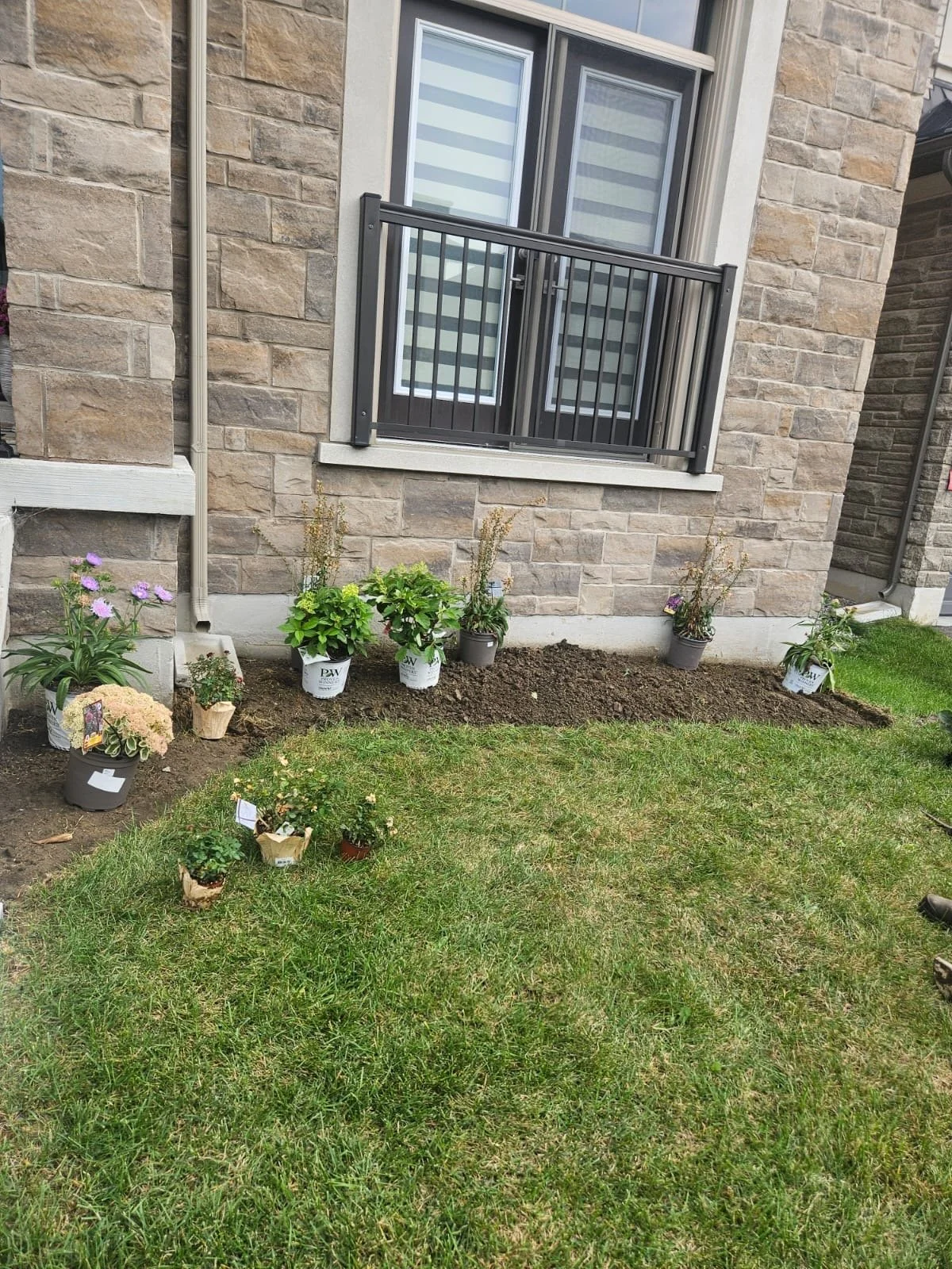 A well-maintained lawn ready to enjoy.