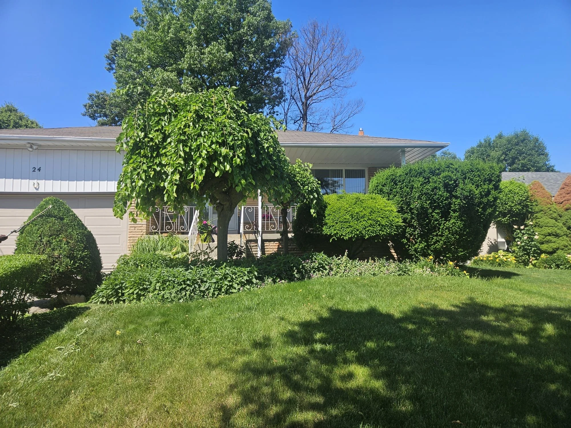 c2ec2c49-1a85-455d-af82-18846c168649 (1).jpeg