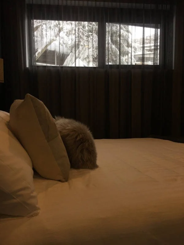 Konayuki_800-MASTER_BED_2.jpg