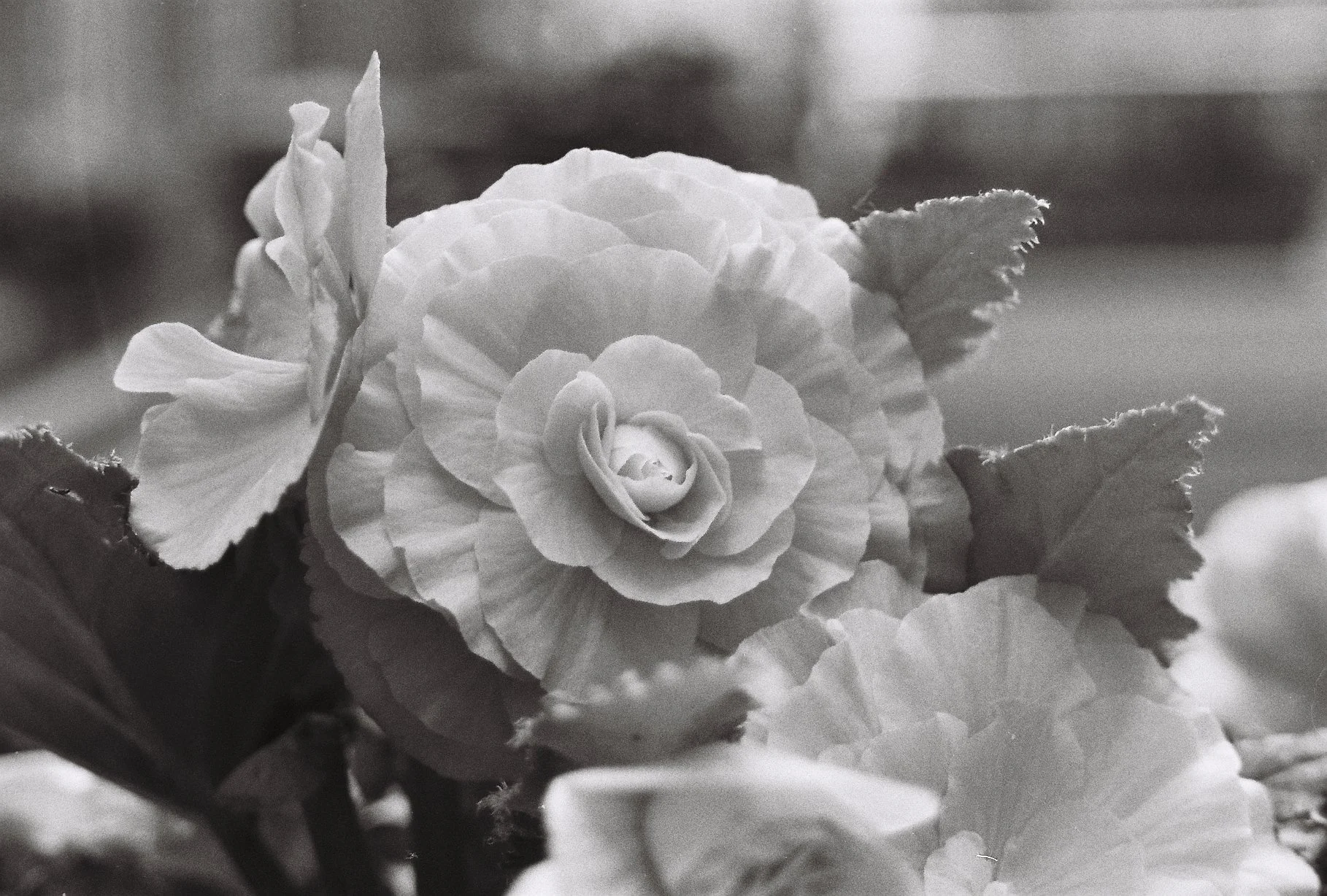 R1-07124-0026 copy.JPG